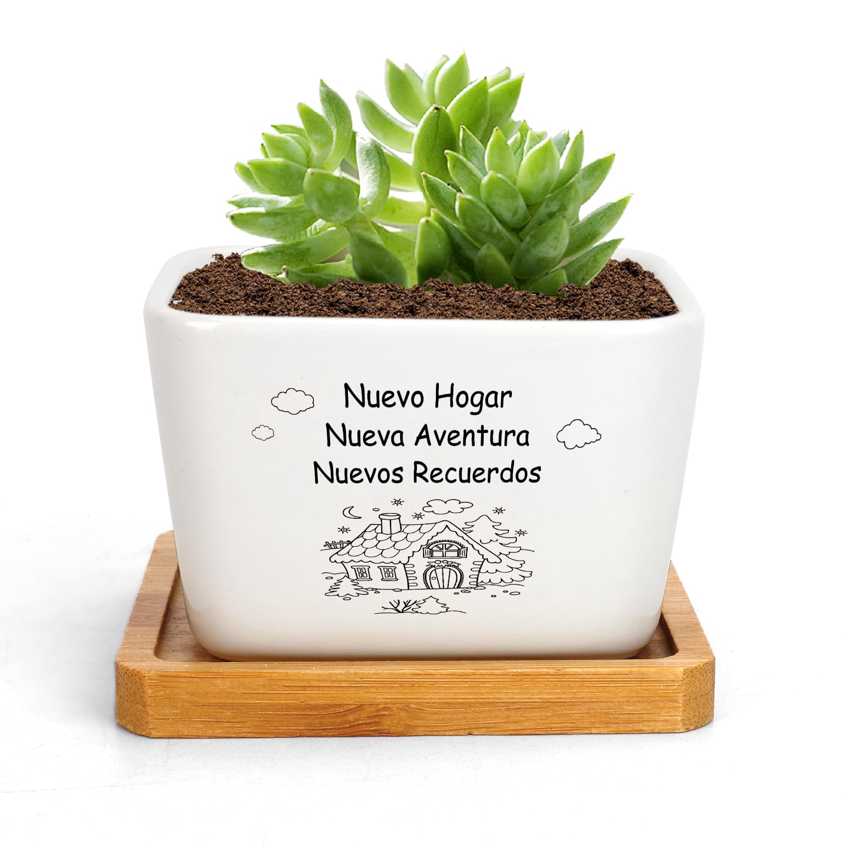 RRIGETEN Regalos Originales para Nueva Casa Regalos para Casa Macetas Decorativas Interior Regalo Nueva Vida Amigos