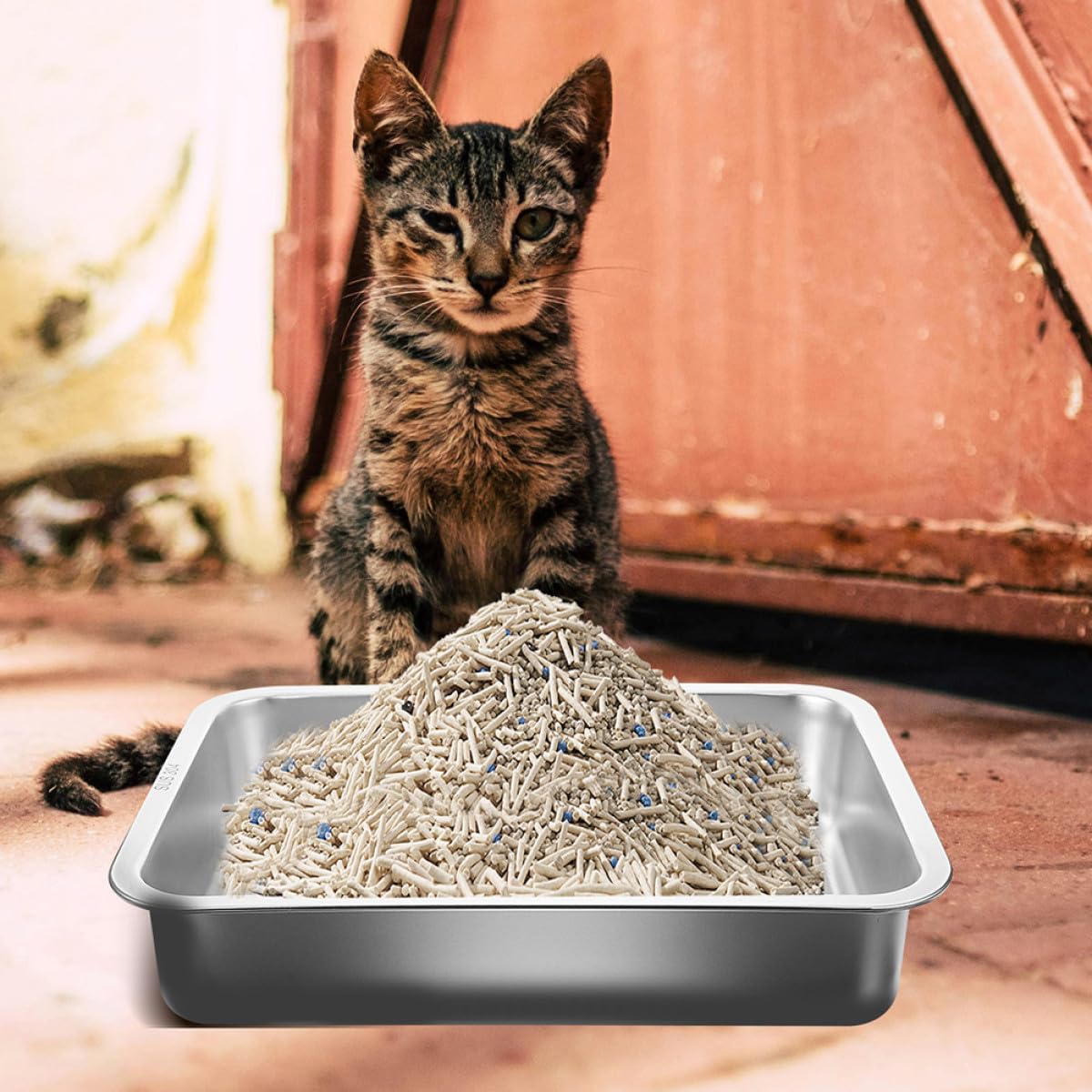 Robuste Katzentoilette aus Edelstahl und Stabilem Boden Geruchsneutral und Klebefrei mit Offenem Design für Kleine Katzen und Kätzchen