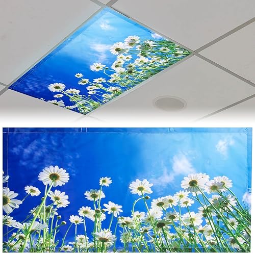 Patelai Cubierta de luz fluorescente de 4 x 2 pies para luces de techo, cubierta de luz magnética con 10 imanes, filtros de luz fluorescente para