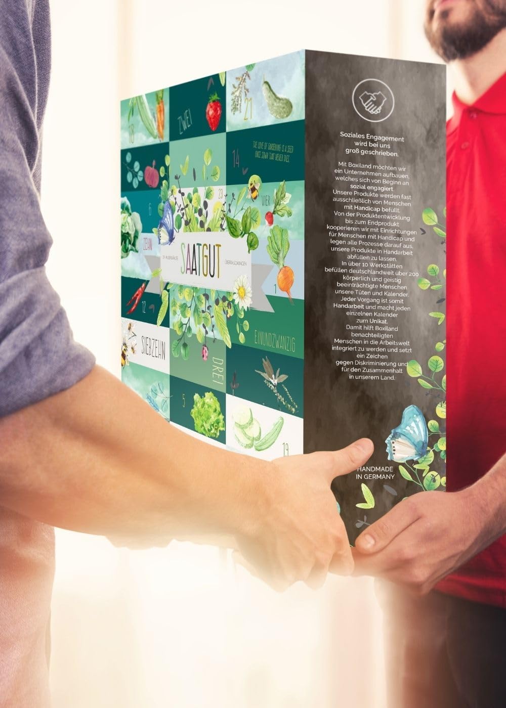 BOXILAND® Calendrier de l'Avent Graines 2026 légumes herbes fruits fleurs