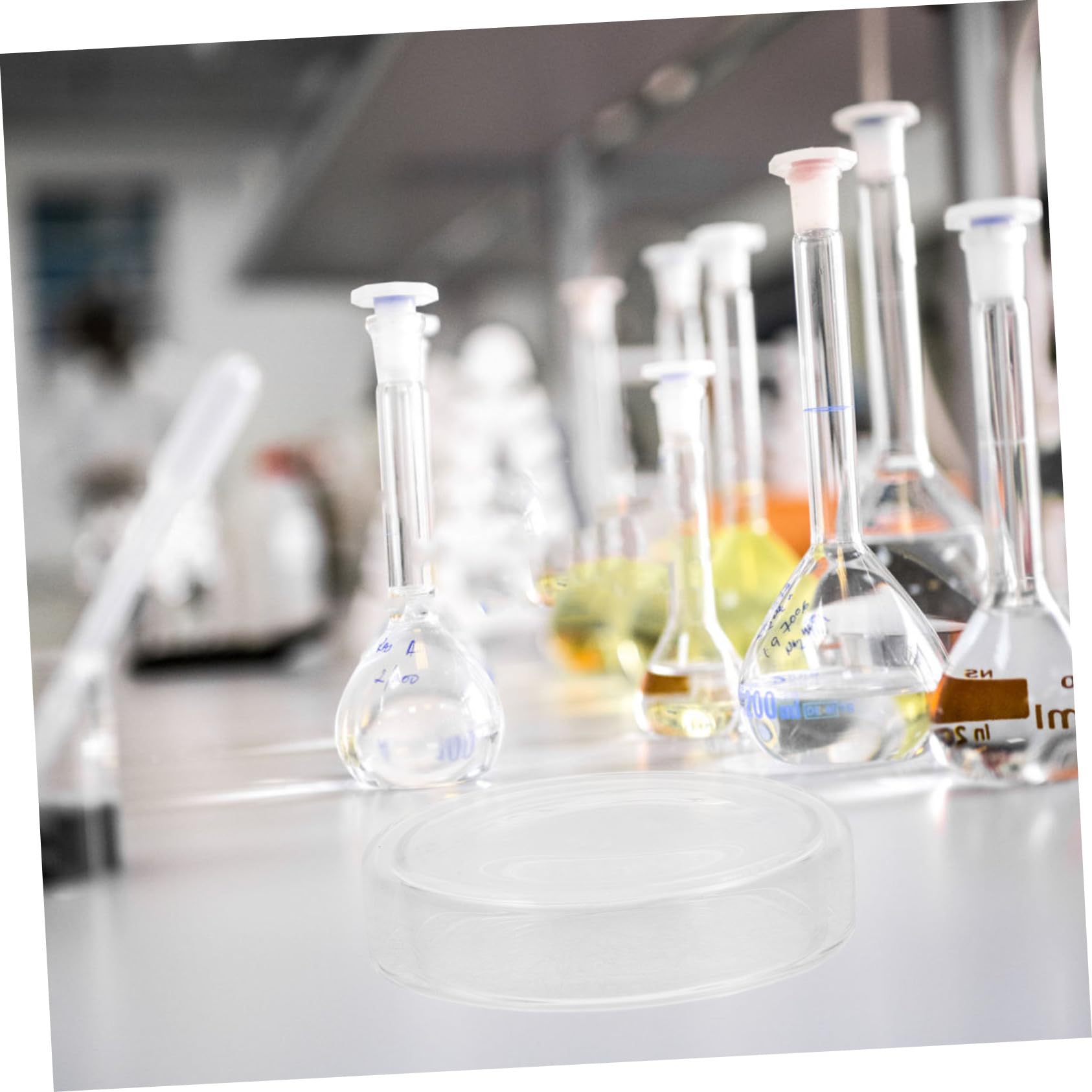 CHILDWEET 6pcs Glass Petri Dish Agar Petri Dishes Petri Plate Dish Small Petri Dish Clear Petri Dish Culture Dishes Clear Cell Culture Dish Laboratory Supplies Petri Holder Transparent