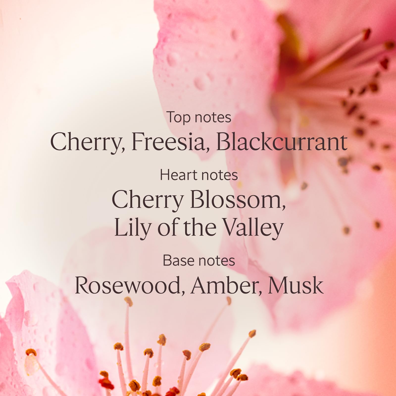 L'OCCITANE - Fleurs de Cerisier (Cherry Blossom) Shower Gel - 75 ml - Fruity, floral and musky fragrance - Made in France - Image 3