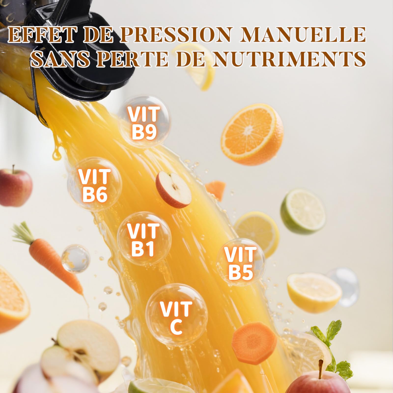 Extracteur de Jus Slow Juicer 130mm 1,9L 250W Marche Avant/Arrière Noir Mat