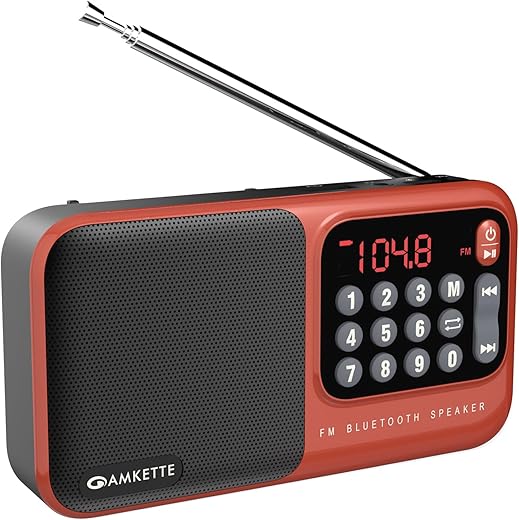 Amkette Pocket Mate Digital FM Radio with Bluetooth Speaker – Type C Charging, Antenna, Multiple Playback 8 Hours Playtime, and Number Pad…