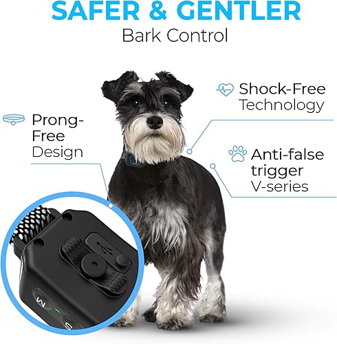 Miniatura 5 de Collar antiladridos para perros pequeños de 5 a 15 libras  Collar antiladridos para perros pequeños sin golpes  Collar antiladridos inteligente