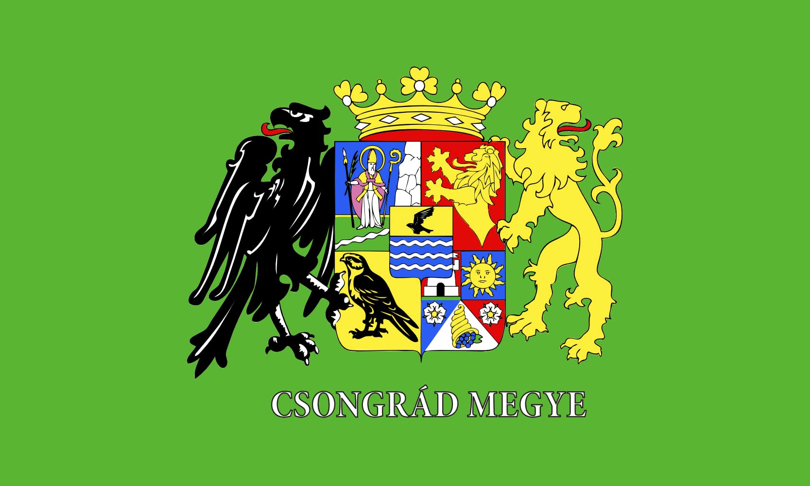 Drapeau Large Csongrad-Csanad megye parfait pour décorer vos fêtes et événements