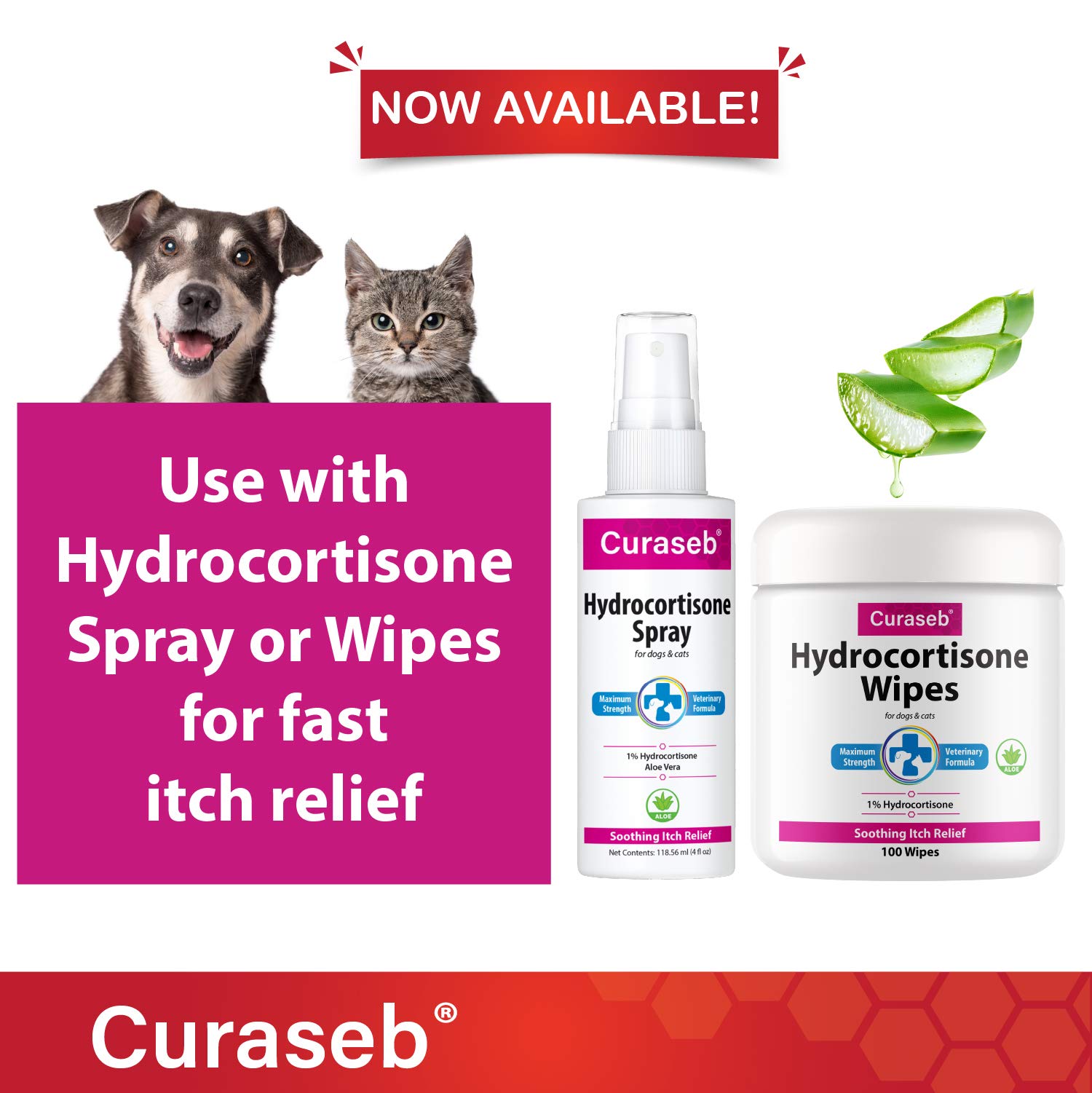 Curaseb Medicated Shampoo for Dog & Cats Treats Skin Infections & Hot