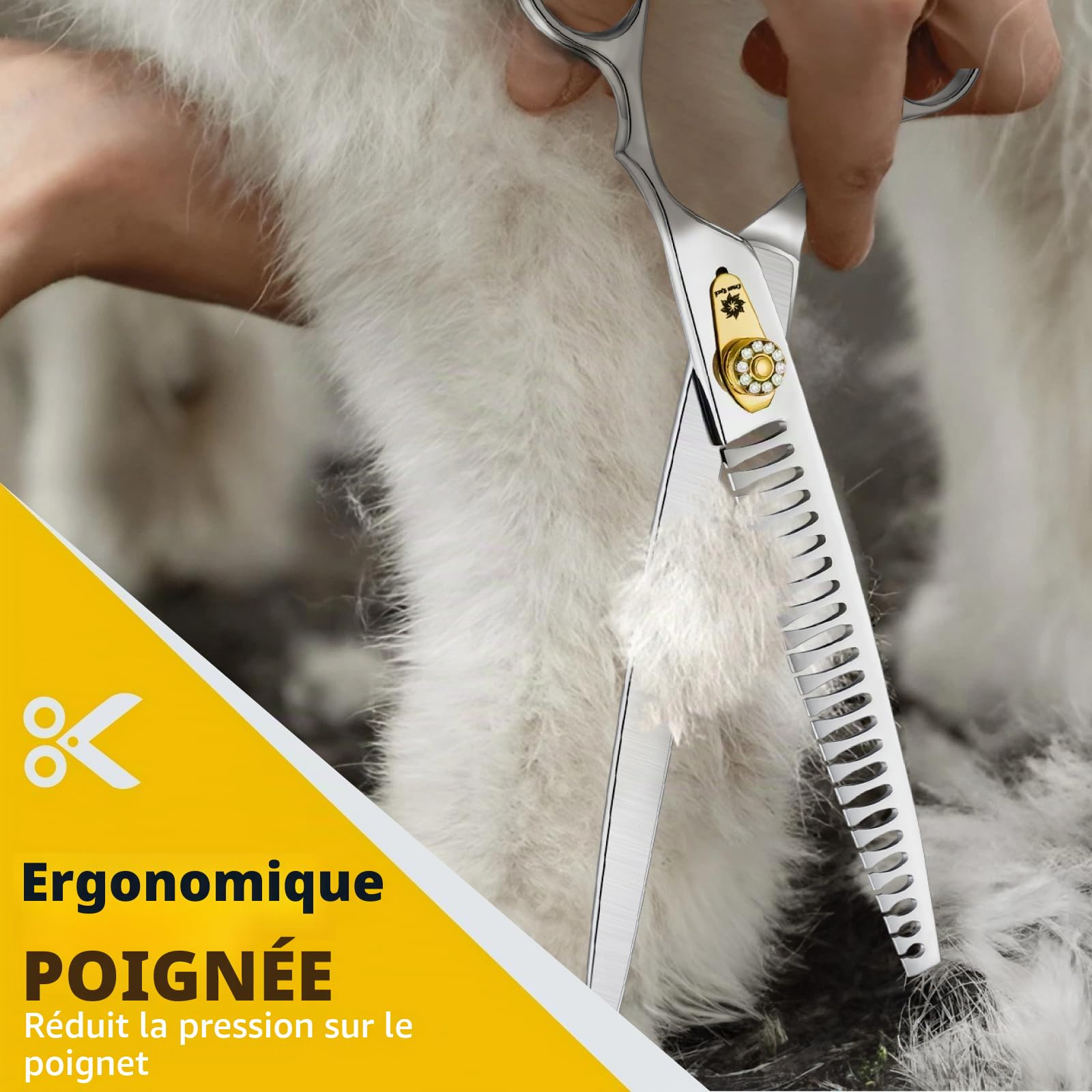 Dream Reach Ciseaux à effiler 8 pouces Ciseaux pour chiens - Ciseaux pour chiens avec poignée ergonomique,440C acier inoxydable Ciseaux pour fourrure 75% taux d'amincissement