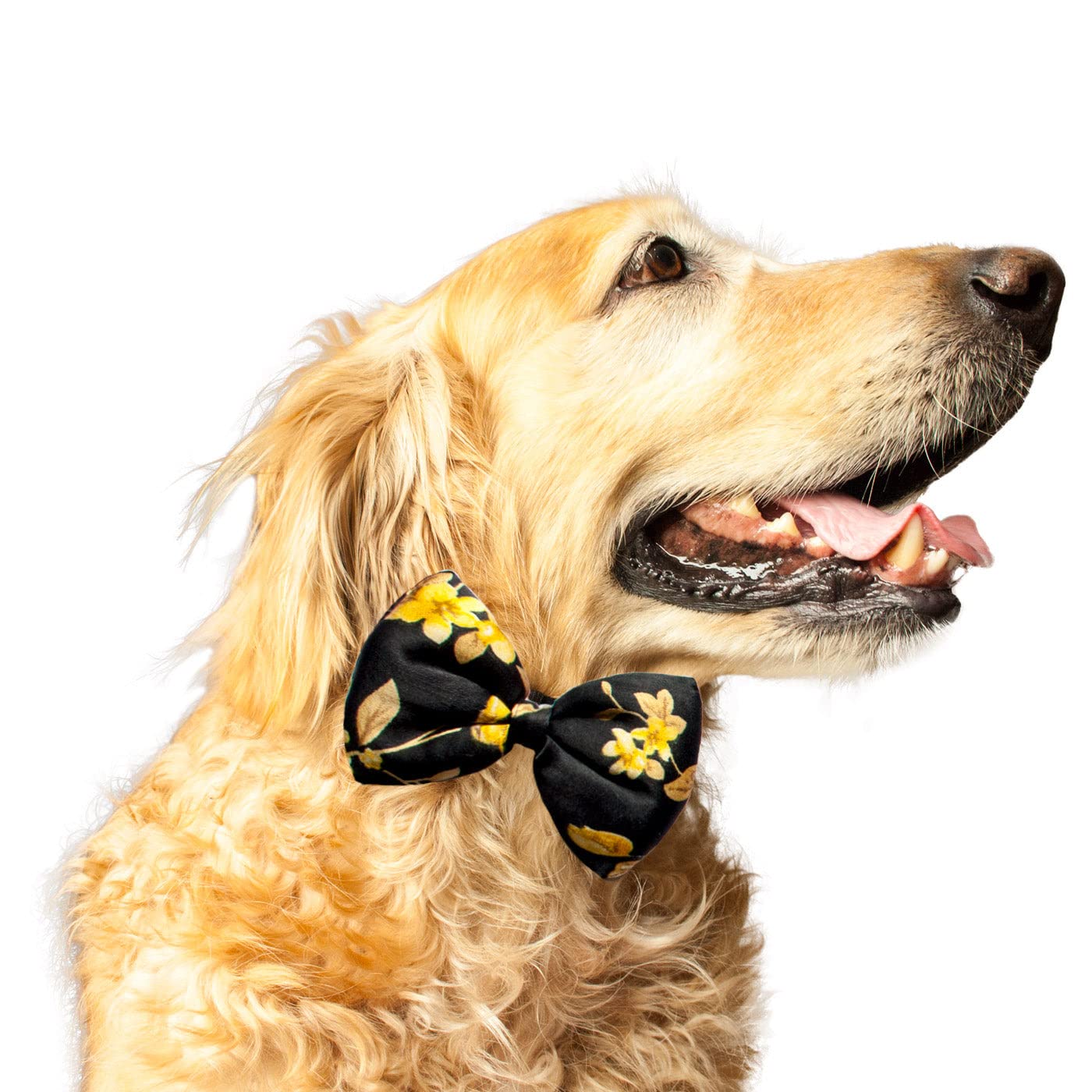 Ruse Pet Dog Bow Tie Ikebana Floral Printed Upcycled Satin Puffy Easy to Use Anti Chafing Elastic Strap Gift for Pets Dogs Scarf Tie(Black/S-M) (B0BH43D828) Amazon Price History, Amazon Price Tracker