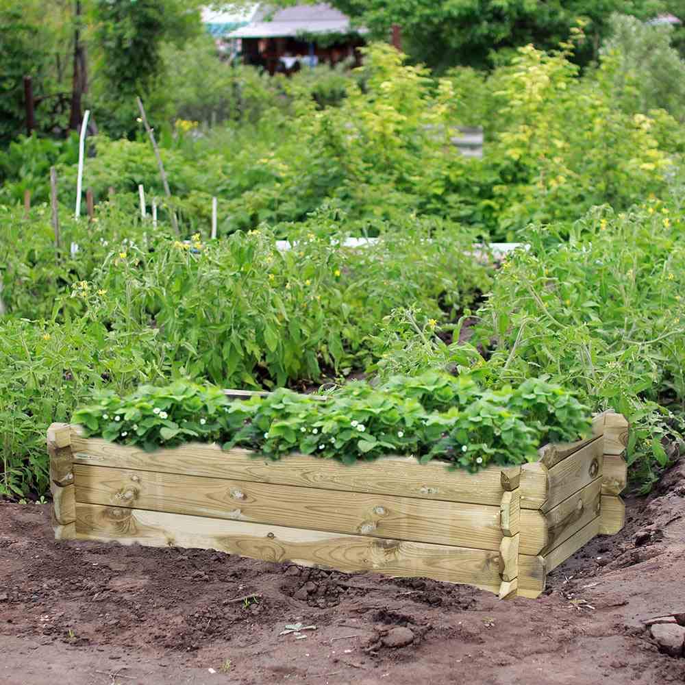 Siena Garden Tom - Bancal Elevado, Rectangular, 120 x 60 x 30 cm