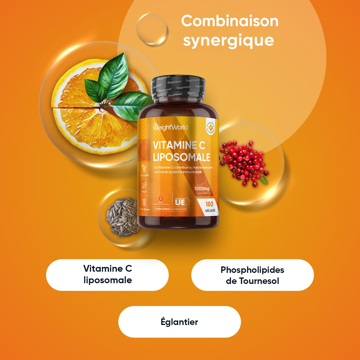 Vitamine C Liposomale 1000mg, 180 Gélules Vegan, Vit C 1000mg Liposomale Gélules, Acide Ascorbique Enrichie avec Extrait d'Églantier (Cynorrhodon) & Phospholipides de Tournesol pour 3 Mois