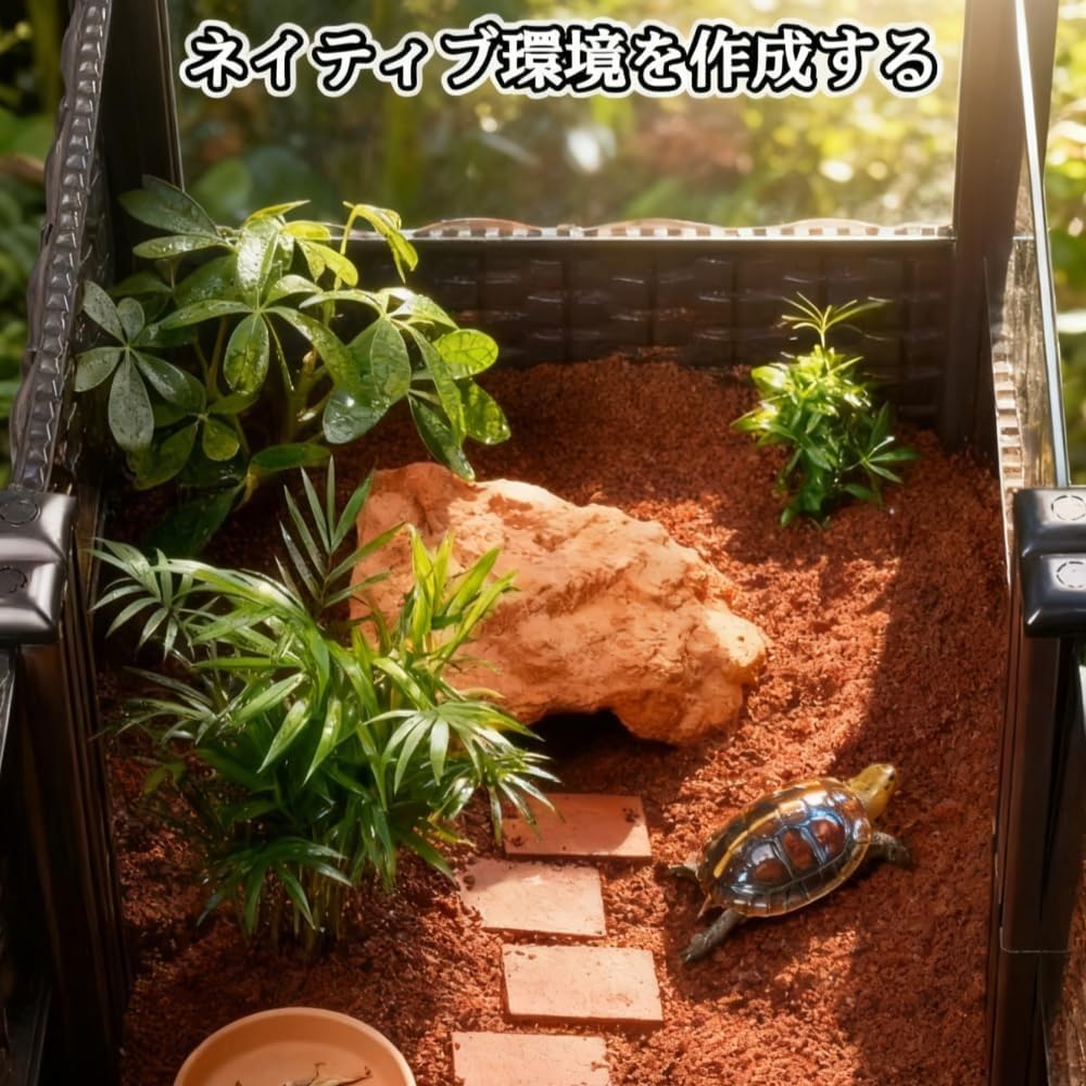 Amazon.co.jp: Vilom 脱出防止・排水便利・通気設計 亀飼育ケージ 大型