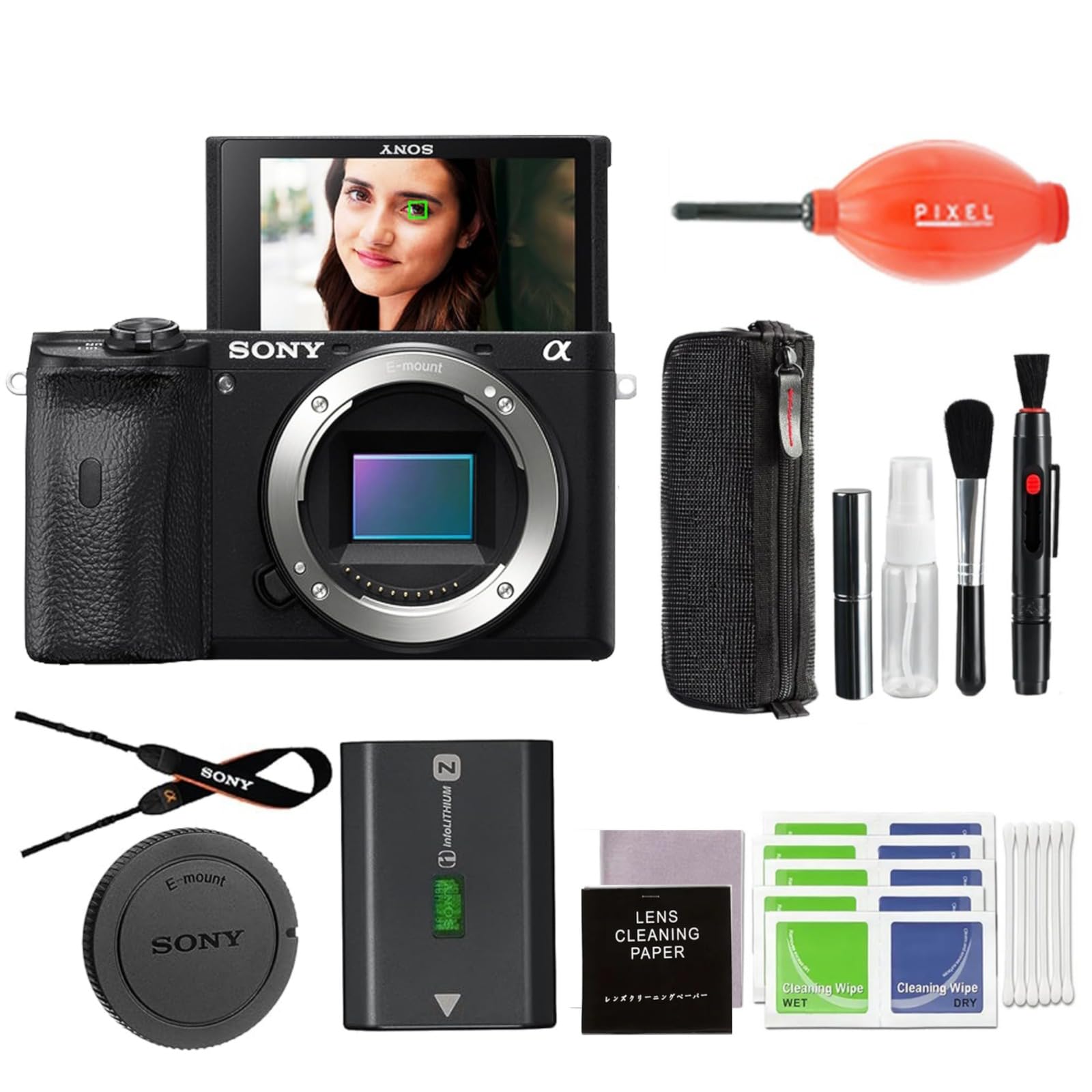 Buy Sony a6600 Mirrorless Digital Camera Bundle with Pixel 