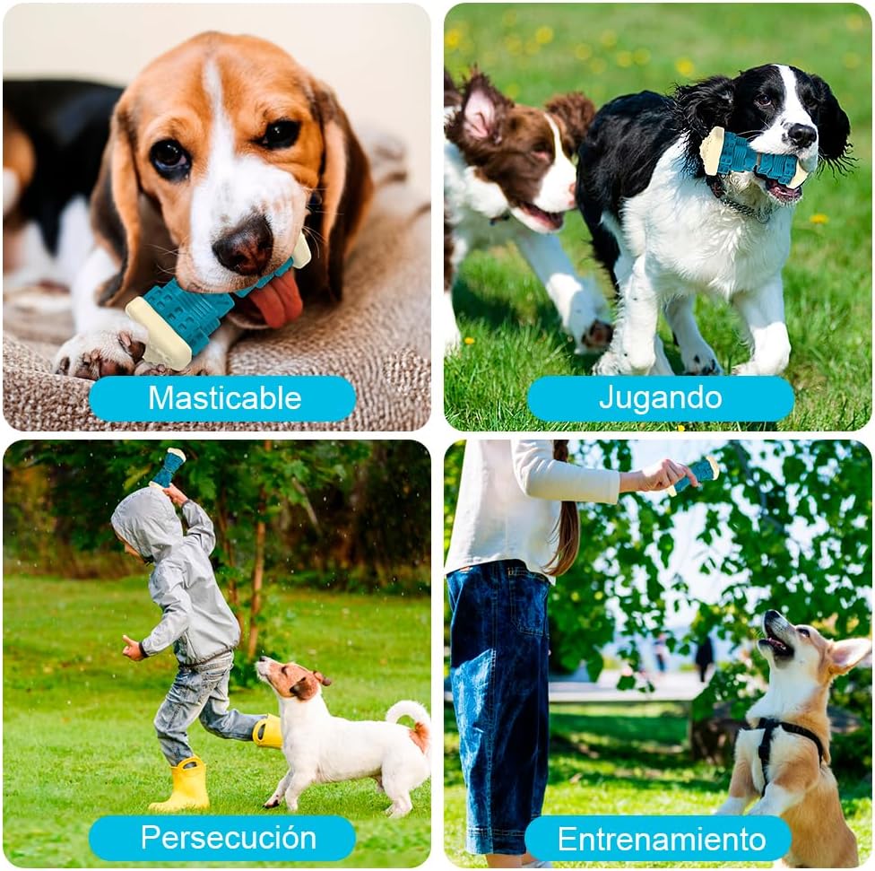 Genérico Indestructible Dog Toys - Natural Rubber Heavy Duty Chew, Dental Cleaning, Anti-Stress and Interactive Teether for Large and Medium Dogs (Blue) 10