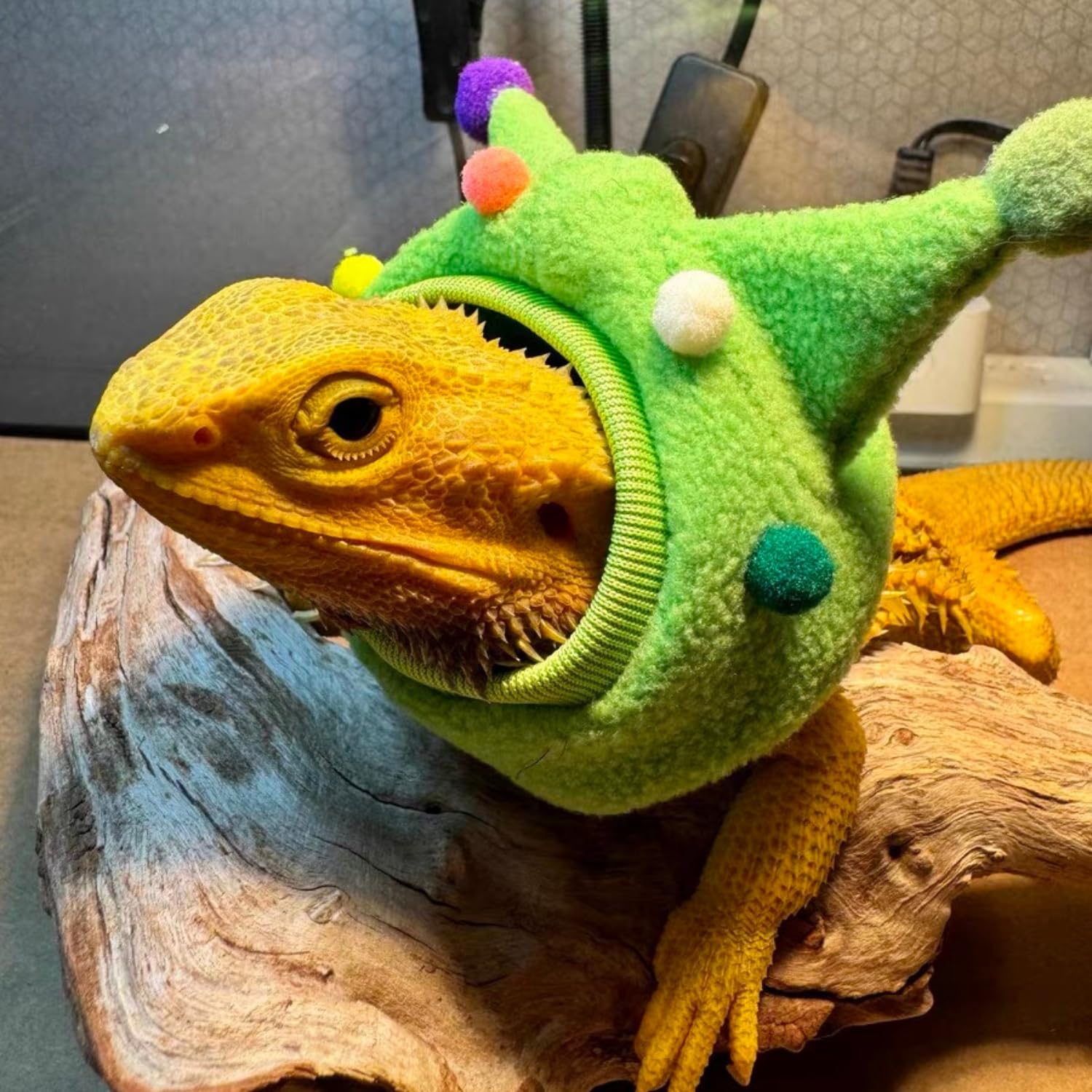 Small Pet Hat CQJ Bearded Dragon Funny Hat - Bullhorn Ball Cap For Lizards,  Snakes, Small Pets (Green) Lizard Costume Hat
