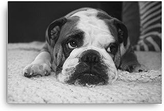 English Bulldog Gifts For Dog Lovers, Poster Canvas Prints Various Sizes, English Bulldog Lover Gift, Wall Art Bulldog Photo Print, Cute Gift For Dog Mom