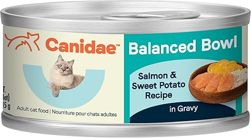 Canidae Balanced Bowl - Comida húmeda para gatos, salmón y batata, receta, 3 onzas (caja de 24)