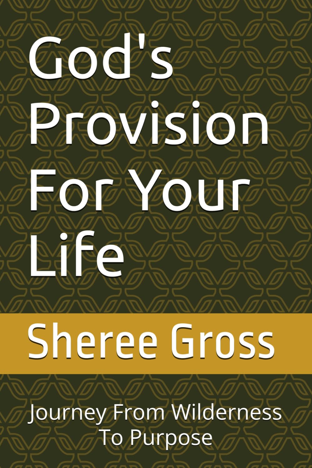 God's Provision For Your Life: Journey From Wilderness To Purpose