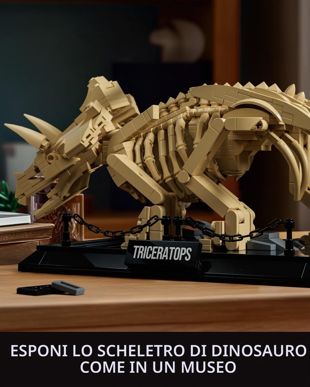 Nifeliz Kit de Modello Fossile Triceratopo, Set di Costruzione Scheletro Dinosauro per Adulti e Collezionisti, Appassionati di Fossili (798 Pezzi, NF10351)