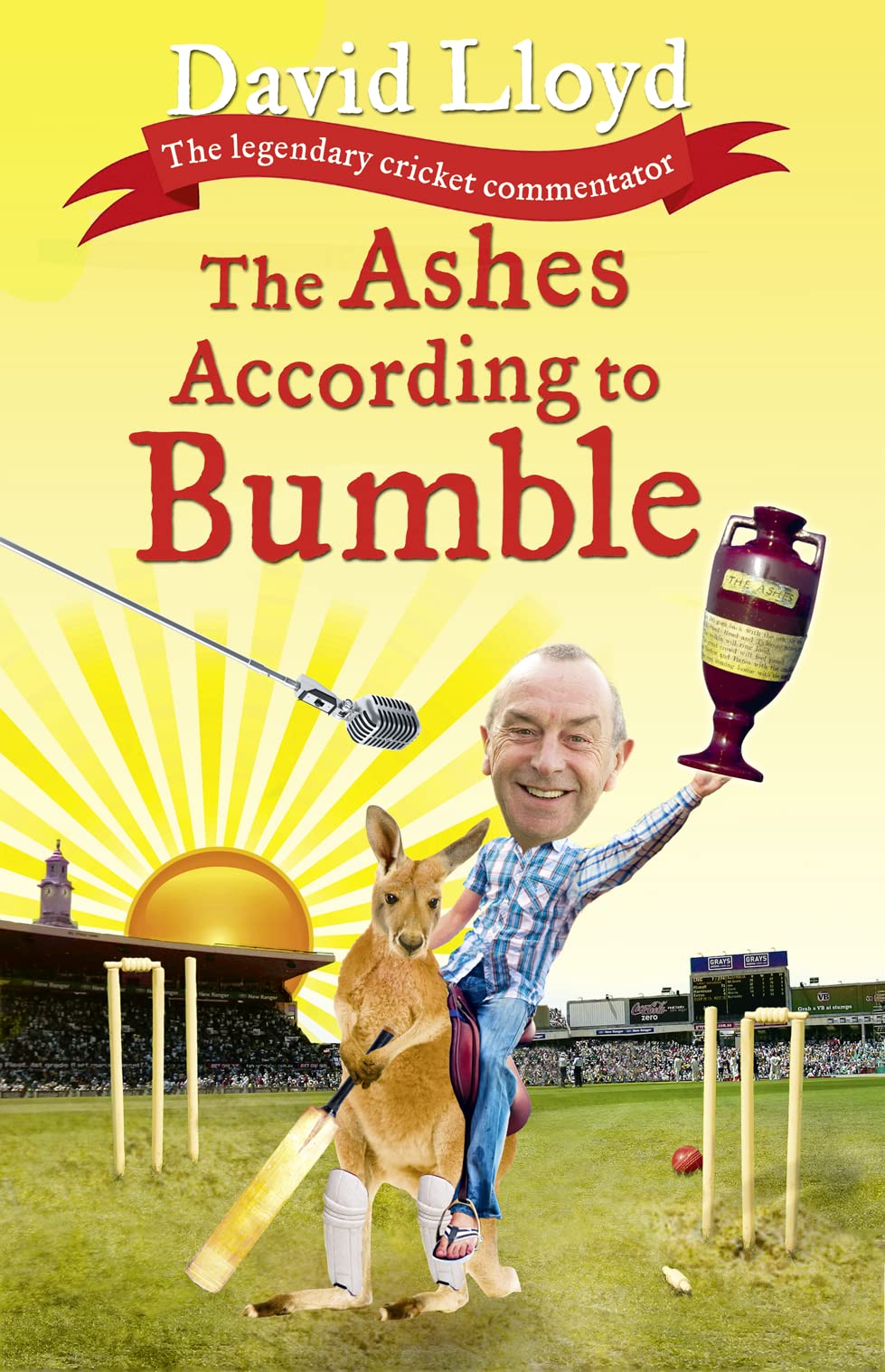 Buy The Ashes According to Bumble — BookShops.in