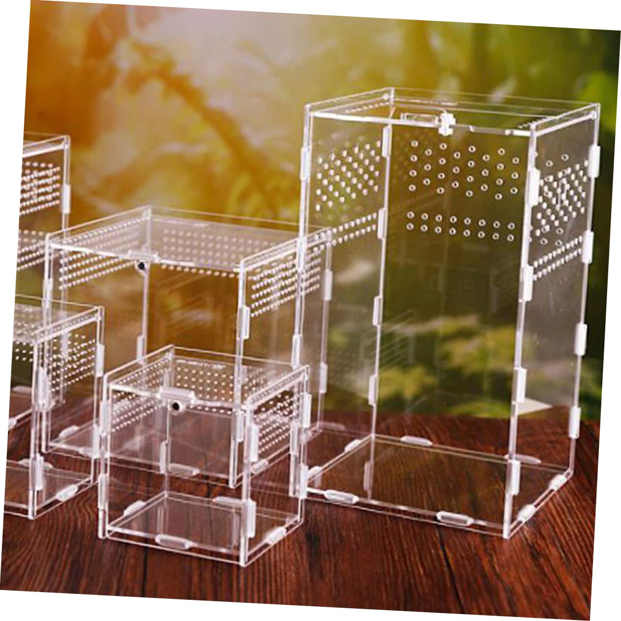 FOMIYES 1set per Rettili per Allevamento Tarantole Gechi e Piccole Tartarughe Accessorio per Domestici