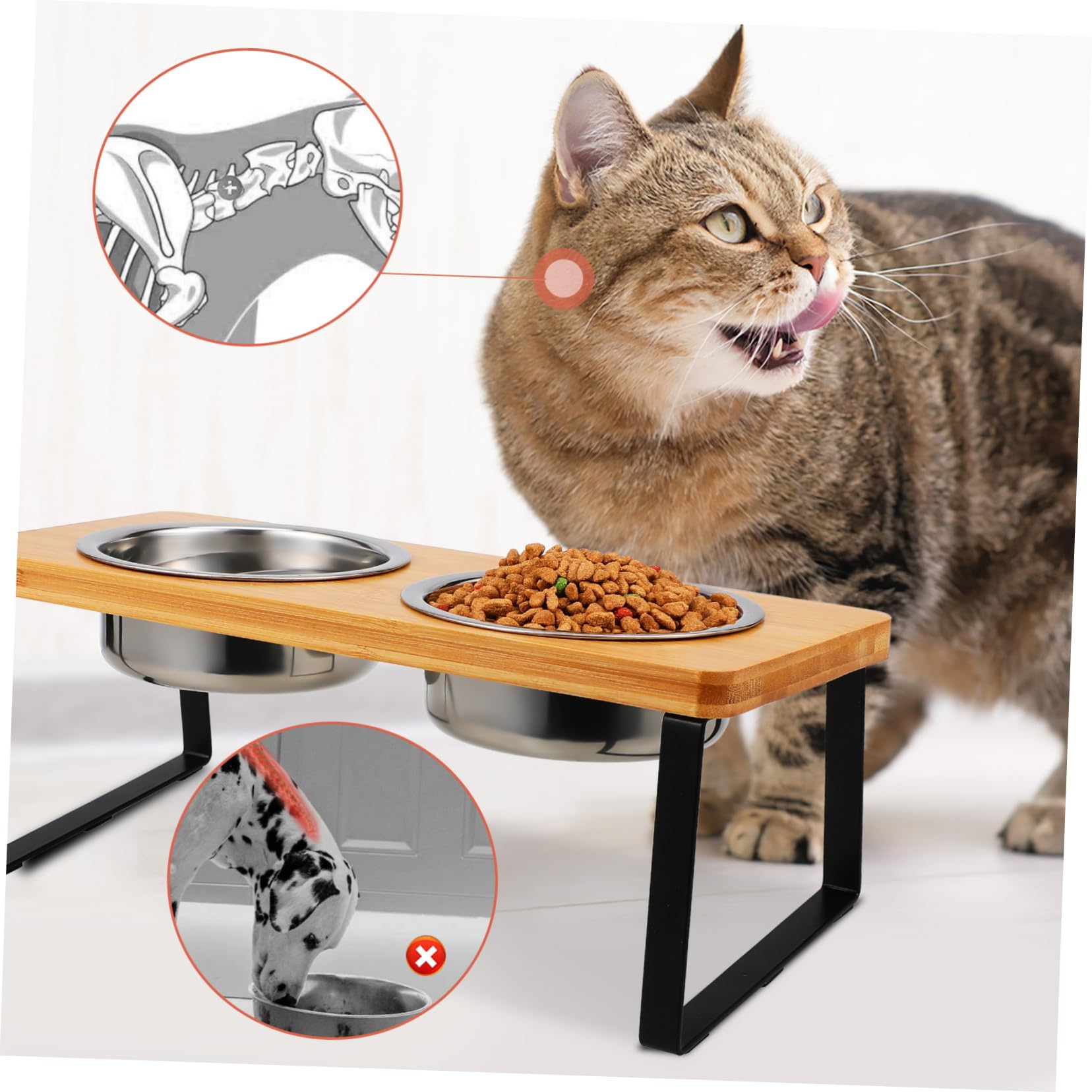 BESPORTBLE Ciotola Rialzata Per Gatti Con Supporto in Acciaio Inossidabile Doppia Ciotola Stazione Di Alimentazione Per Animali Domestici Postura E Digestione