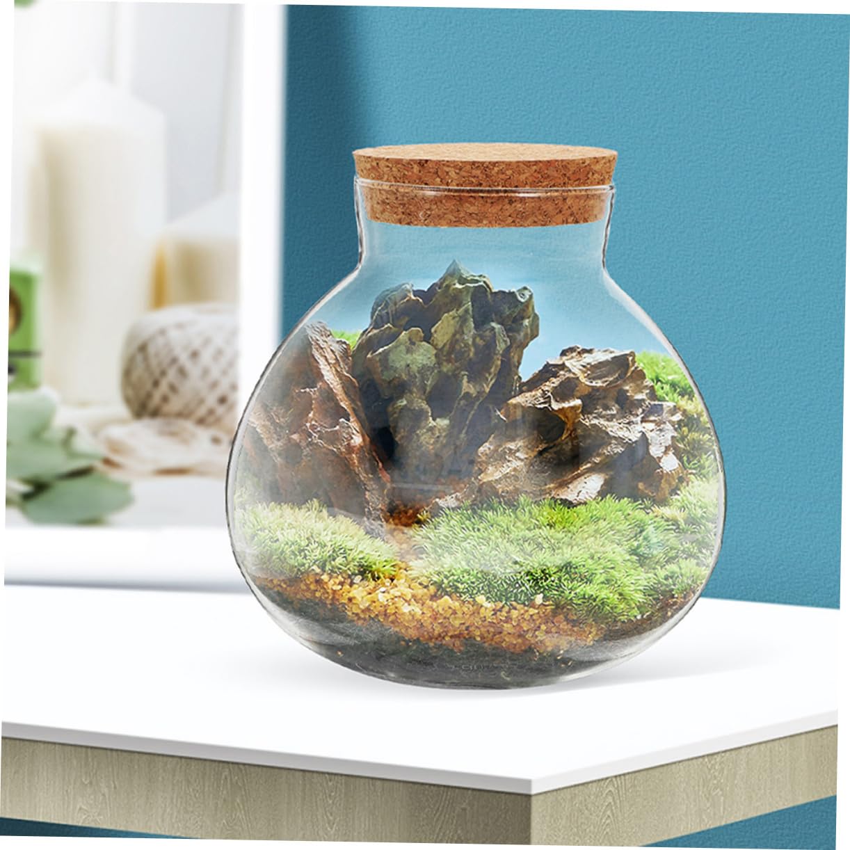 3pezzi Bottiglie Sferiche Per Terrario Con Di Sughero Contenitori Per Paesaggi Ecologici Design Trasparente Facili Da Pulire e Riutilizzabili Per Decorazioni e Piante Verdi