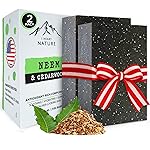 iHeart Nature Organic Fungal Neem Soap Bar (2 Pack) - Herbal Body Odor Cleanser, Eczema Soap - Moisturizing, Long-Lasting, Creamy Wash - Gentle Skin Hydration and Care