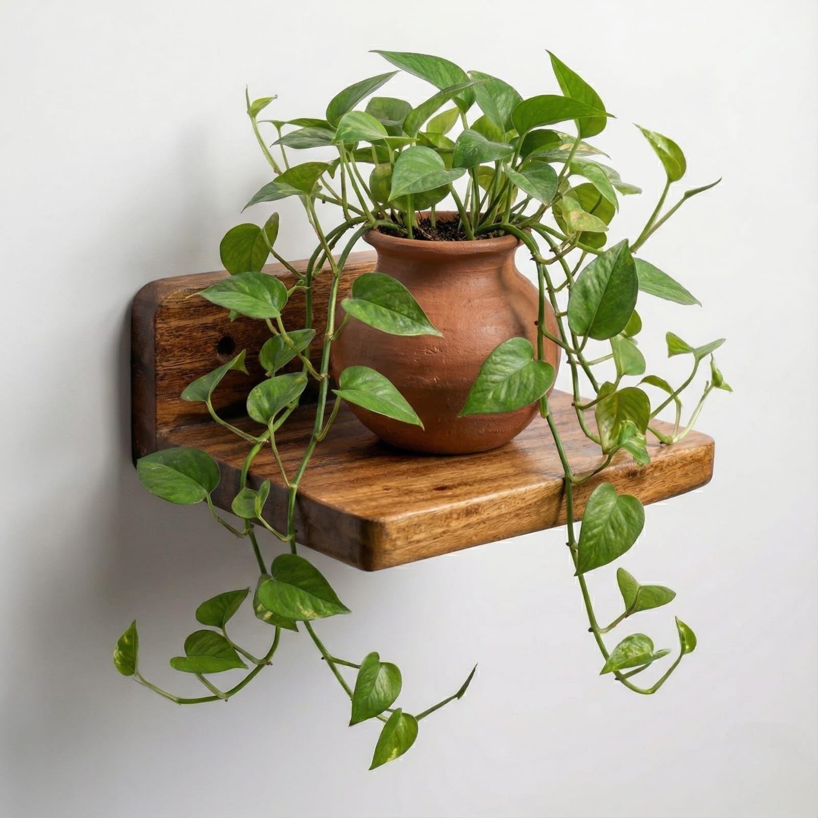 Premium Wooden Floating Wall Shelf (Single Piece) – Natural Solid Wood Display Rack | 18x15x7 cm – Wall Mounted Shelf for Home & Office Décor | Small Plant & Showpiece Stand-image-6
