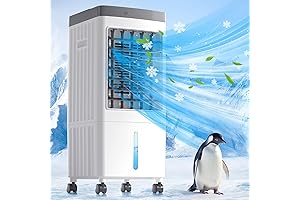 Portable AC Unit: Revolutionizing Home Cooling Without Windows