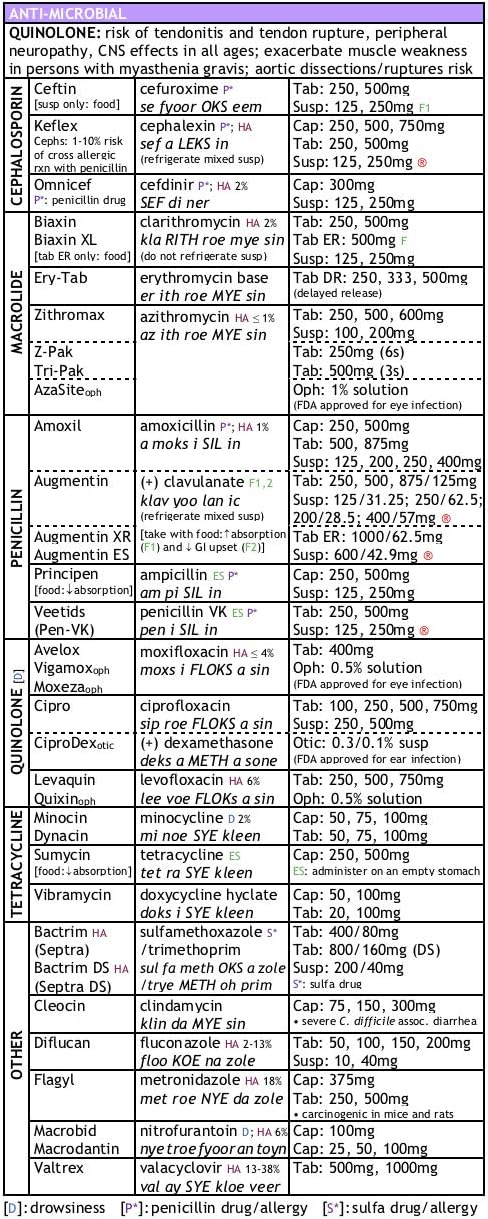 Medcharts - Top 200 Drugs Review (Laminated)