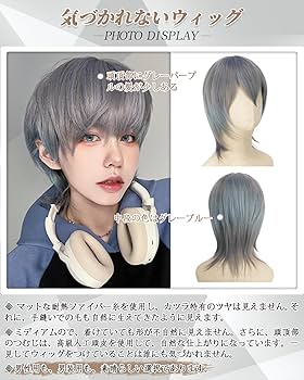 Amazon.co.jp: Peacoco ウィッグ メンズ 男装 ウルフ 自然 簡単