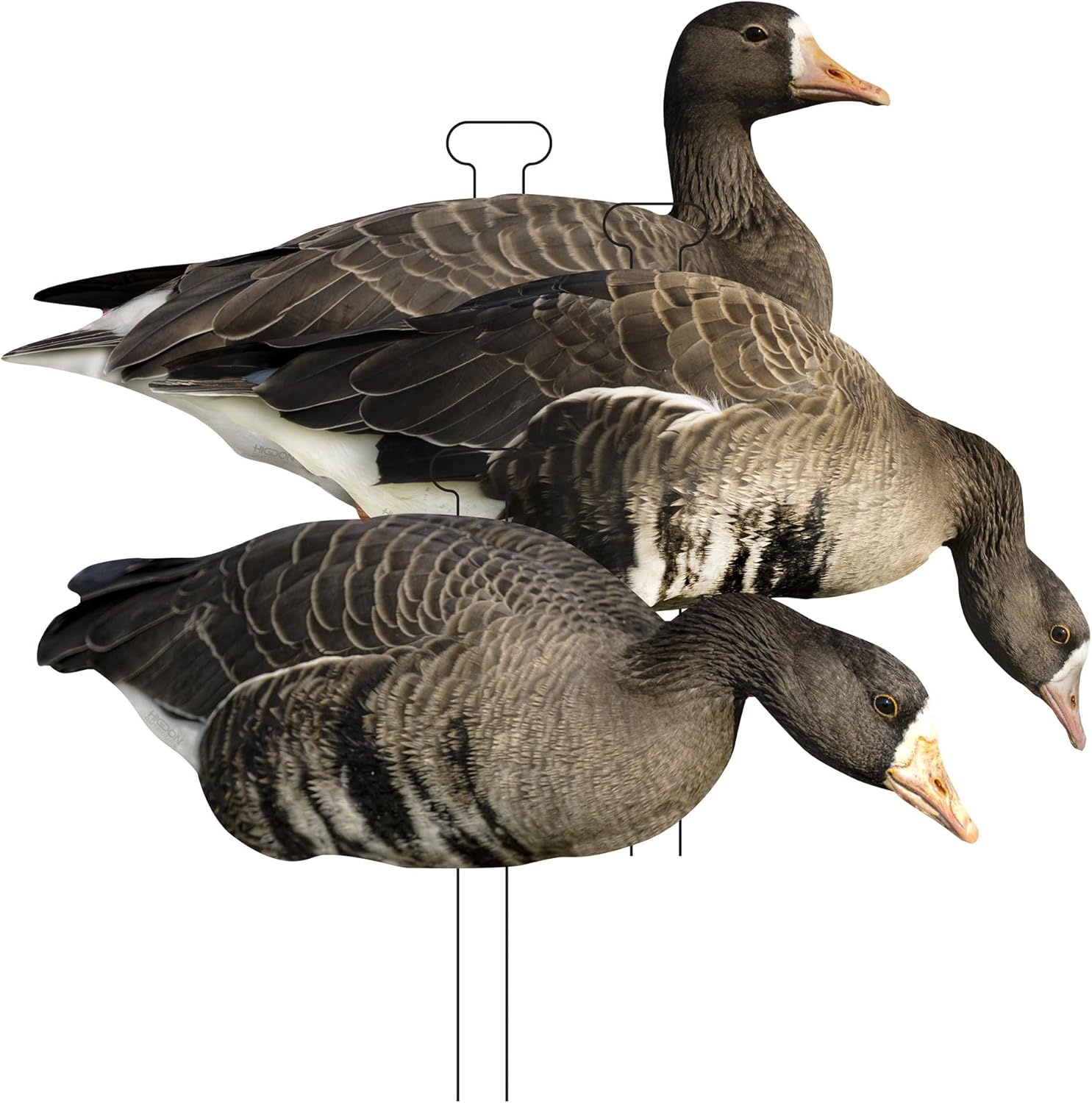 Higdon Outdoors Flats | Specklebelly Goose Silhouette Decoys for Waterfowl Hunting | Lightweight Weather Resistant Goose Decoys with Easy Carry Stakes | Available in Standard & Motion | 12 Pack