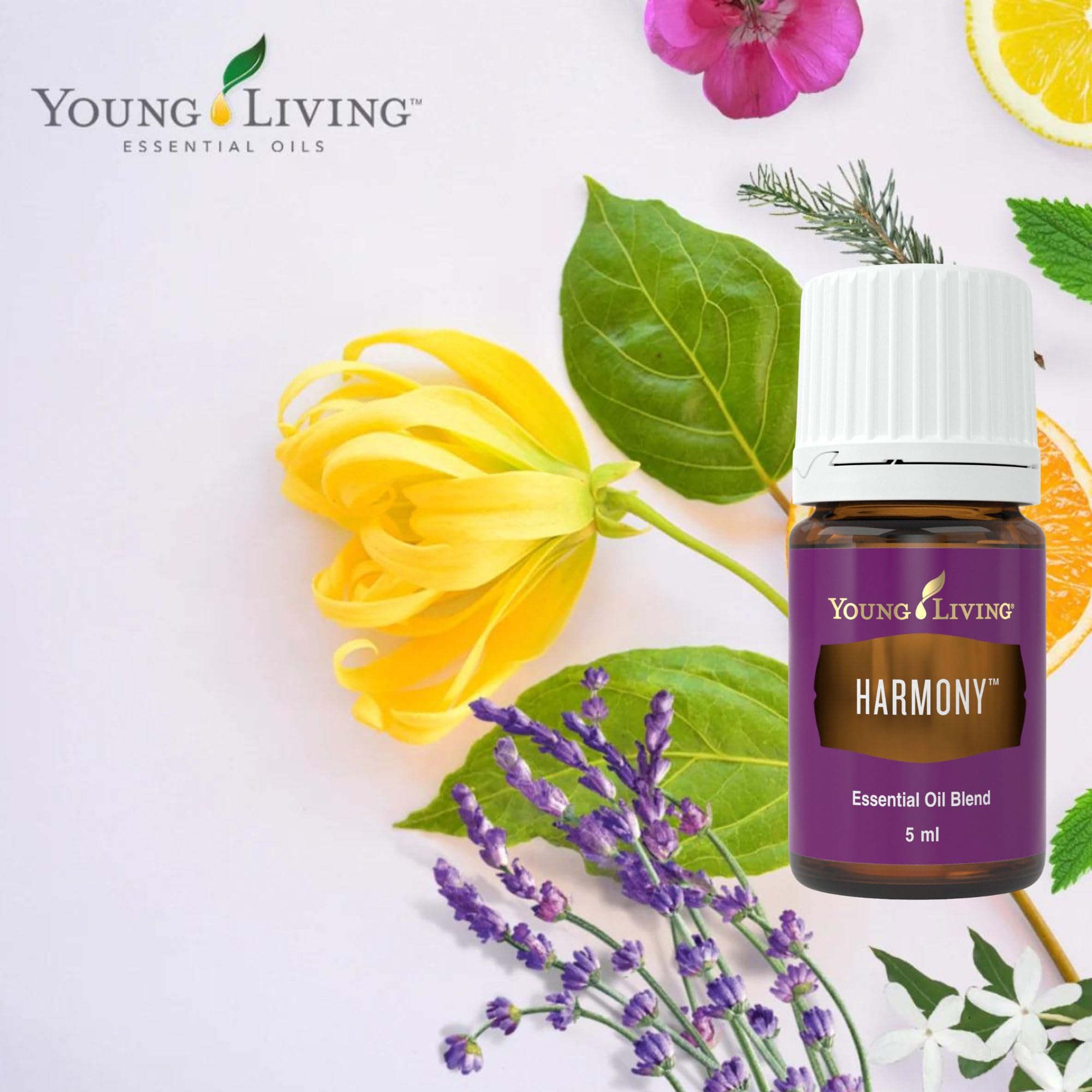 Amazon.com : Young Living - Harmony Essential Oil 5 ml