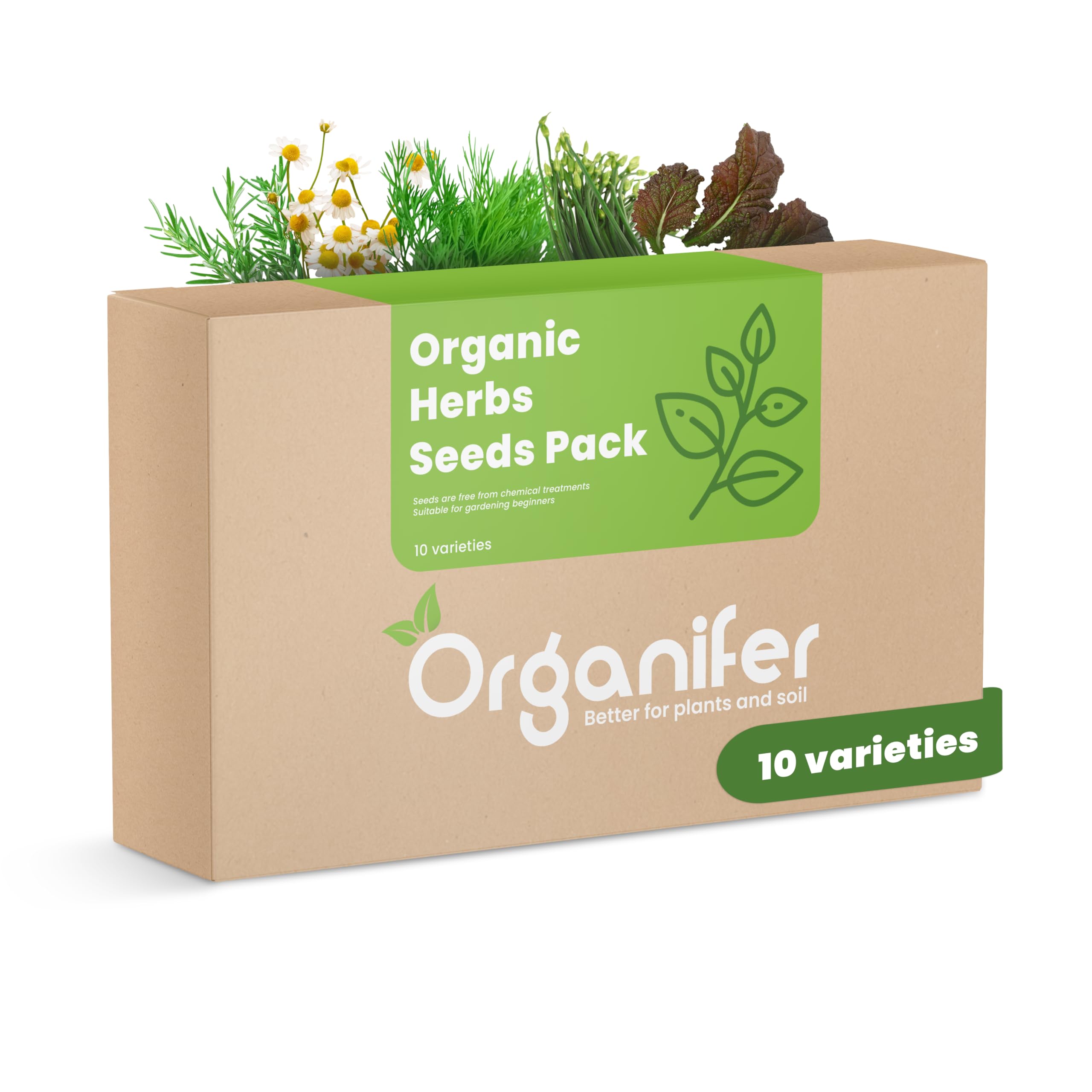 Confezione Di Semi Di Erbe Biologiche | Semi Da Giardino - Semi Di Erbe - Confezione Di Verdure - Pianta Di Rosmarino - Melissa - Semi Biologici - Organifer