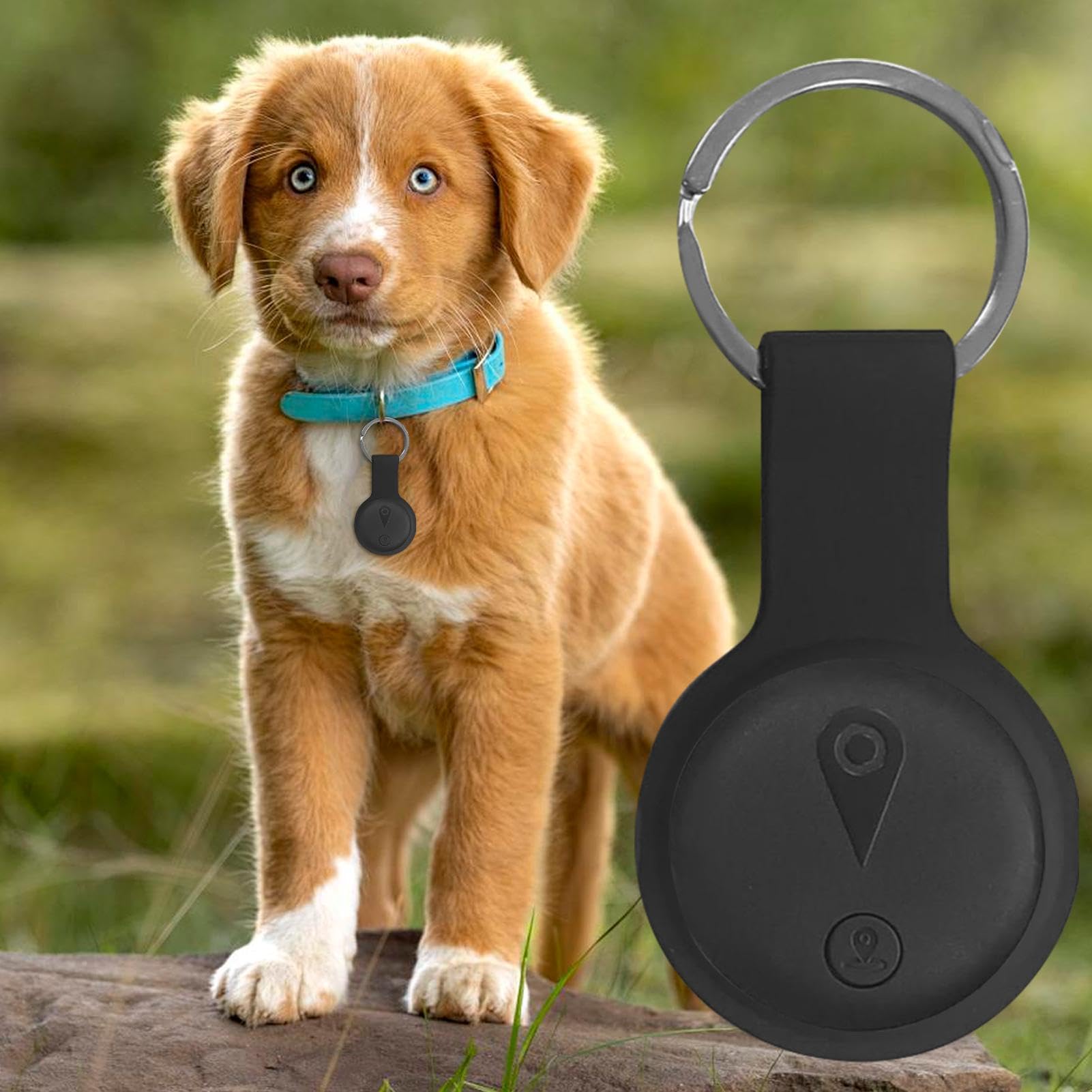 Localizzatore GPS per Cani,Lunga Distanza con Batteria a Lunga Durata | di Recinzione Virtuale per Collare GPS,per Zaini, Borse, Cuccioli, Gatti, Attività all'Aperto, Giardino,