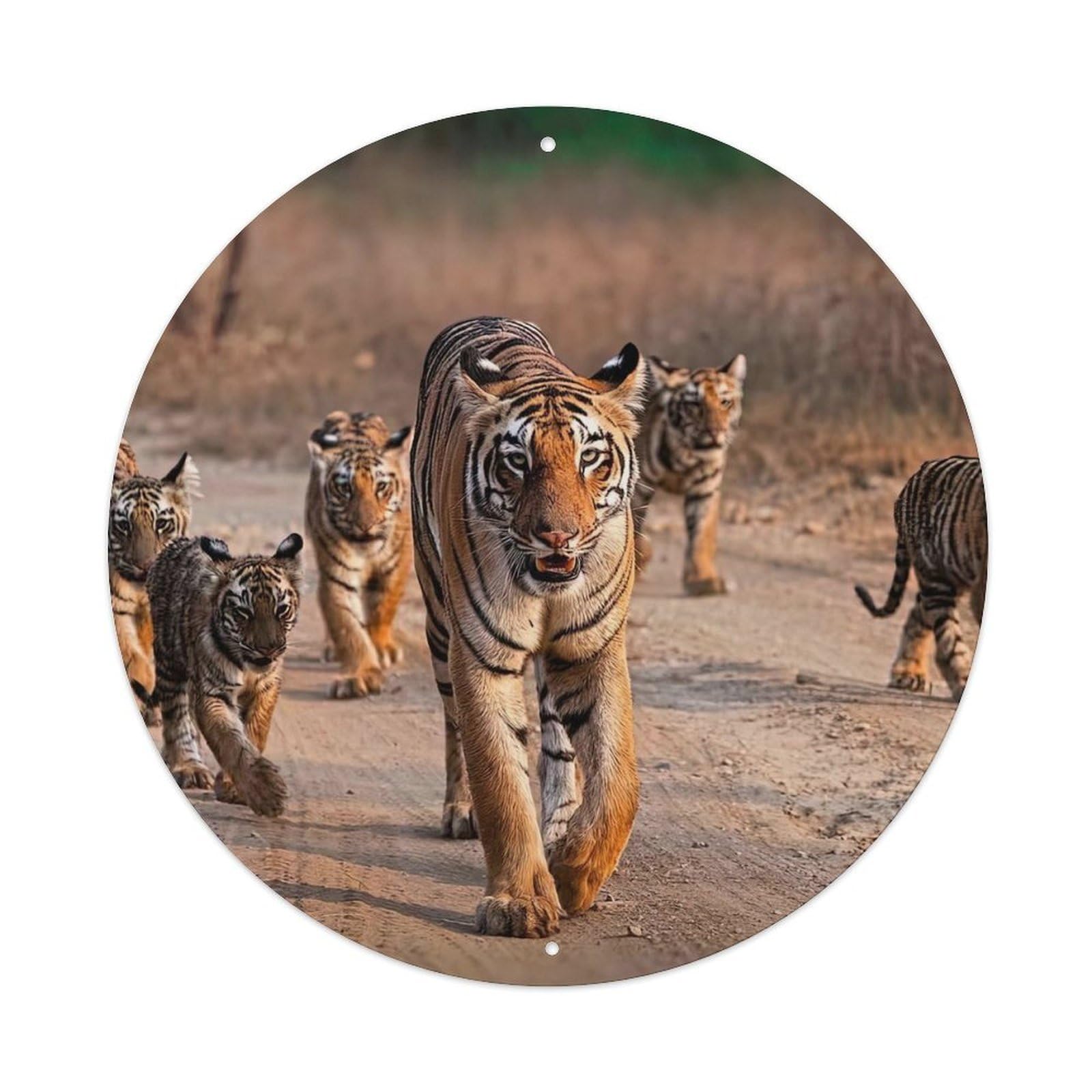 Jungle Tiger Family Cubs Habitat Poster Metal Tin Sign