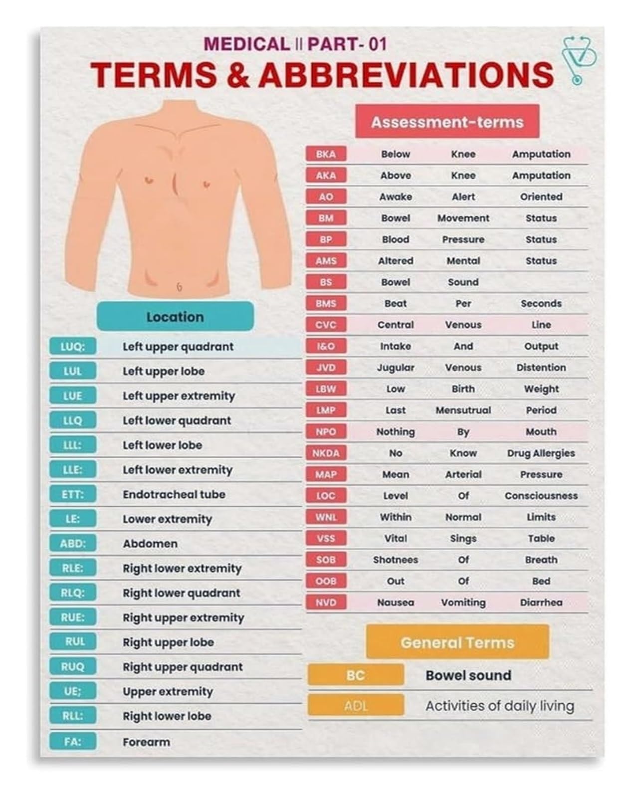 MDBJTCYZN Common Abbreviations Educational Poster Healthcare Terminology Reference Guide For Study Office Clinic Wall(Unframed,08x12inch(20x30cm))