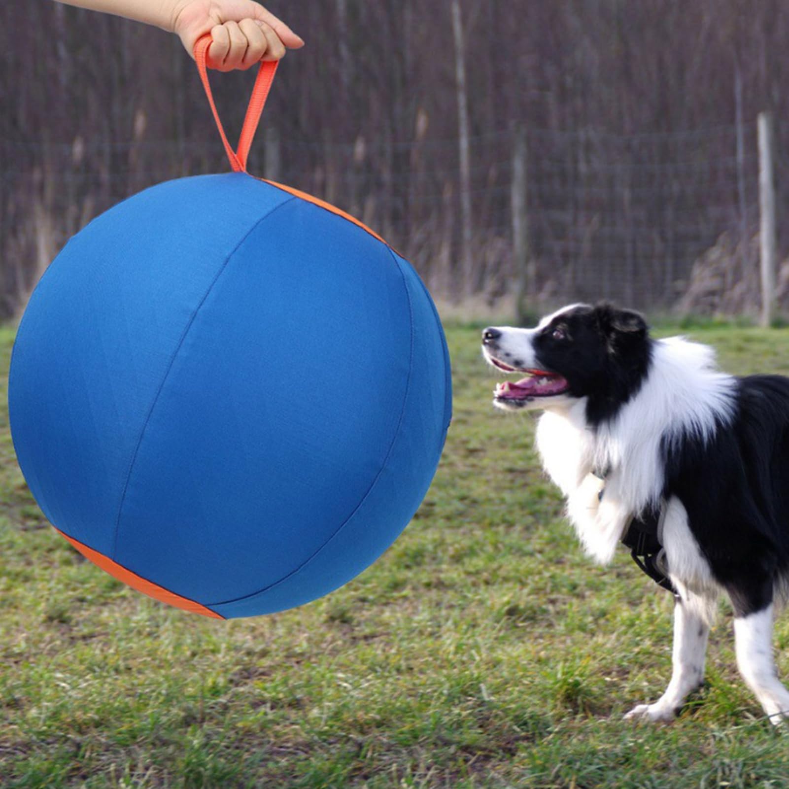 Pelota de pastoreo para perros, pelota calmante con asa de cubierta, pelota de entrenamiento inflable para razas grandes, perros pequeños y medianos, juego activo