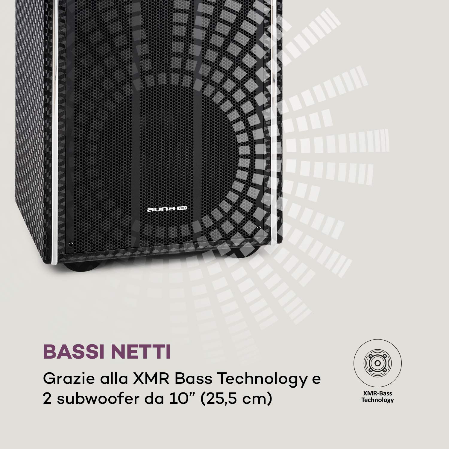 AUNA Pro DisGo Box 2100 DVD - Impianto PA Portatile, 300 W Max., Display TFT da 9" (23 cm), Lettore DVD, 2 Subwoofer da 10" (25,5 cm), Bluetooth, XMR Bass Technology, Microfono uhf Senza Fili, Nero