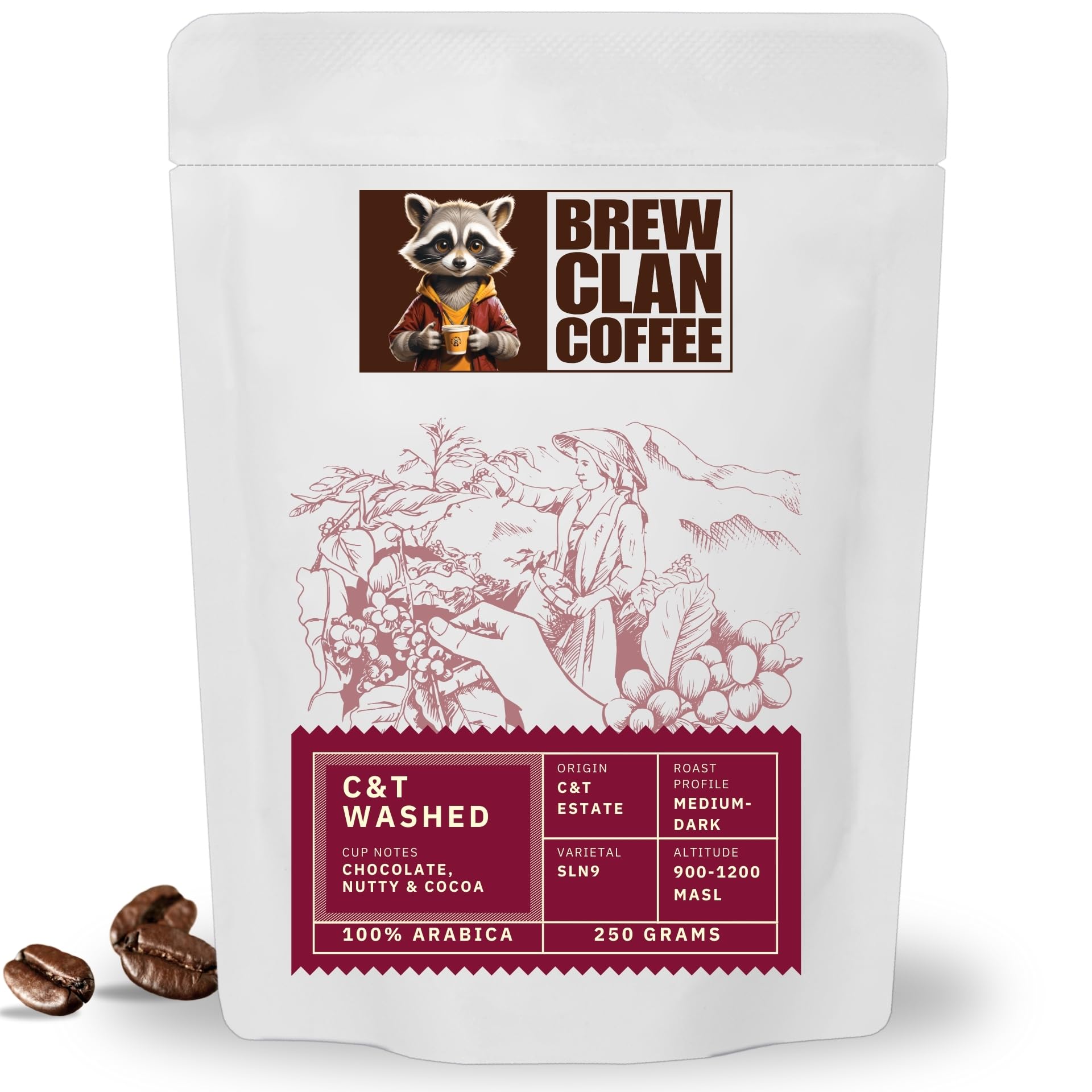 BrewClan Coffee Roasters C&T Estate Washed AA – Medium-Dark Roast | Whole Beans 250g | Single Origin Specialty Coffee | 100% Arabica SLN9 | Chocolate & Nutty Notes | Freshly Roasted | Bag-picture-18
