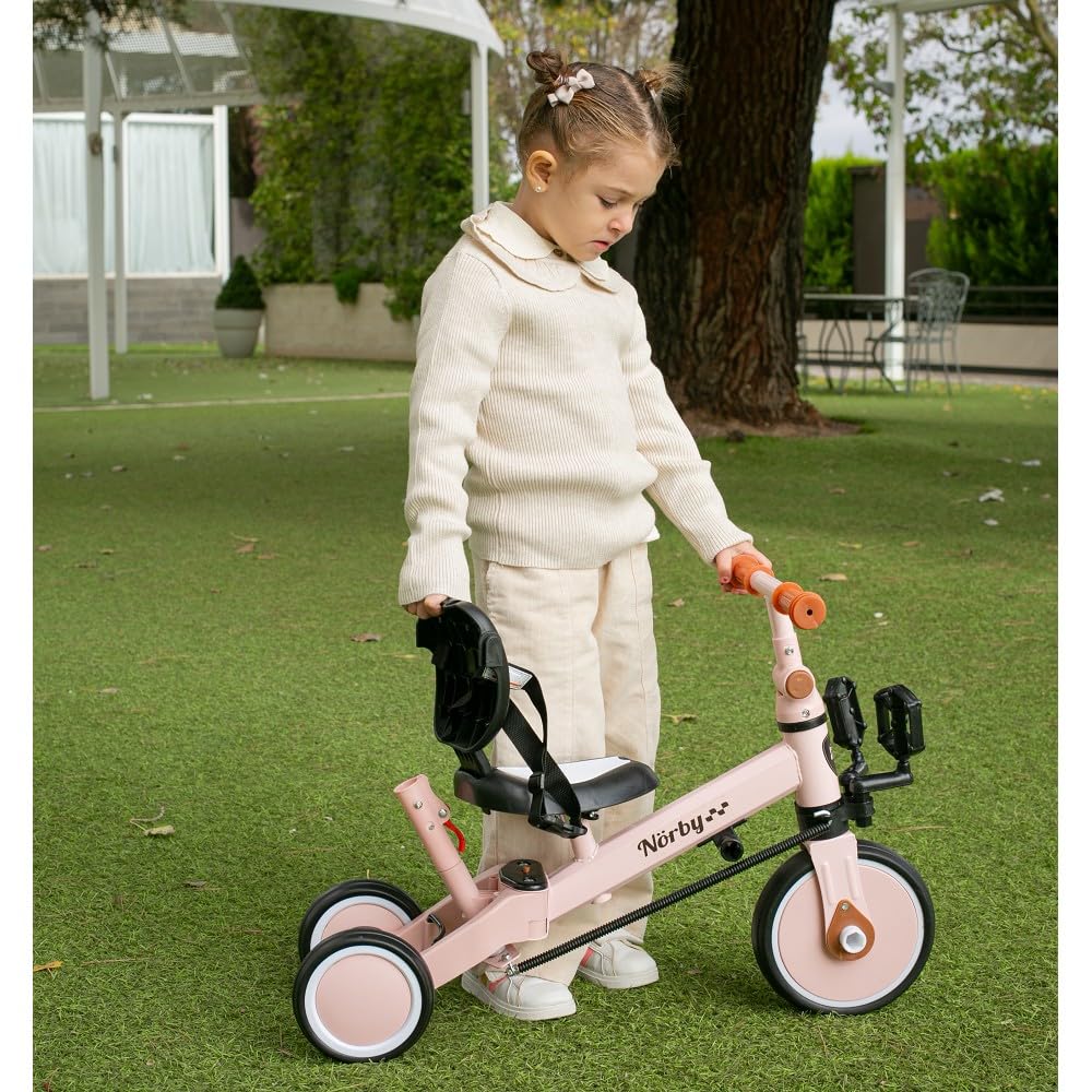 Interbaby - Triciclo "Norby" e Bici Evolutiva 5 in 1 con Capottina - 1-5 Anni