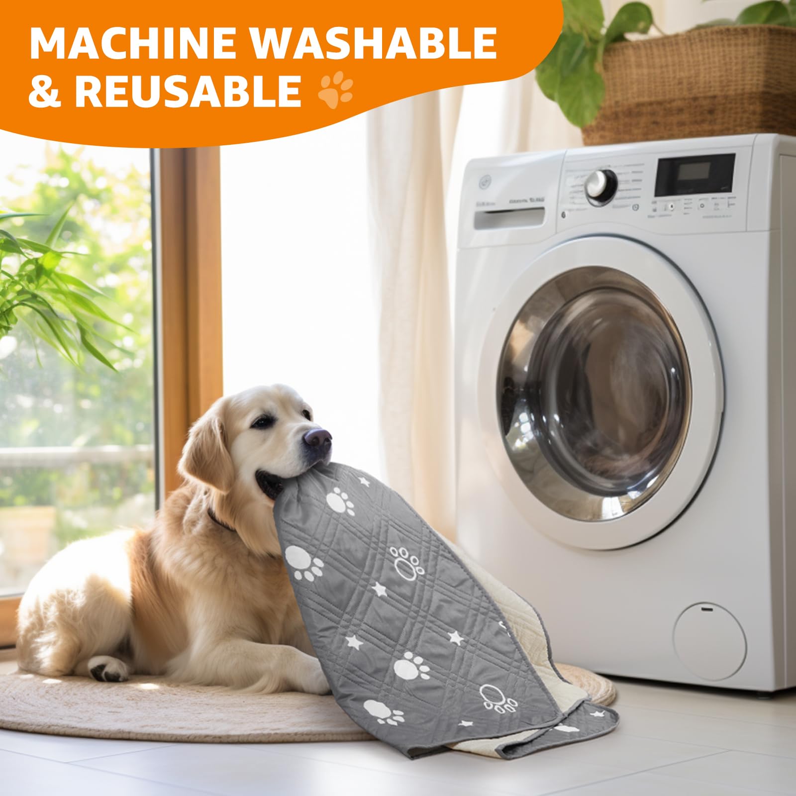 Waterproof Dog Blanket - Image 4