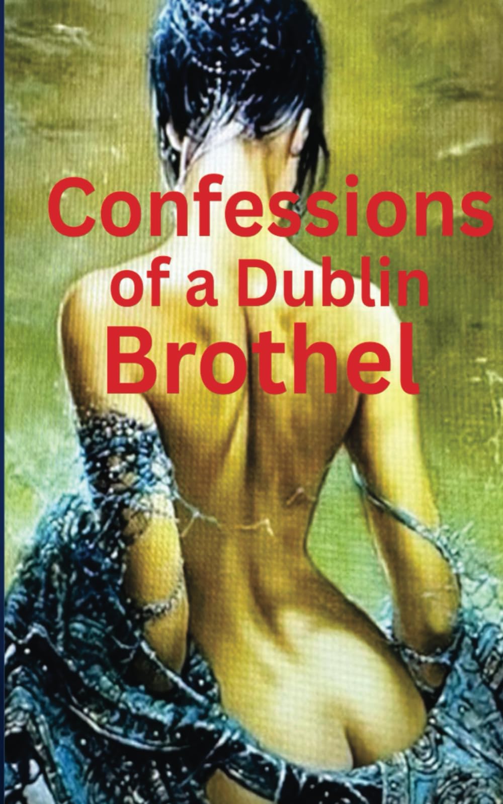 Confessions of a Dublin Brothel