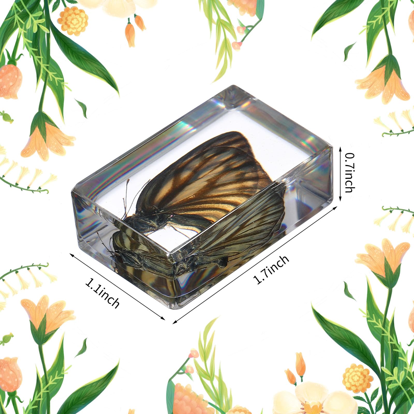 12 Pcs Butterfly Insect in Resin Specimen Bugs Collection Paperweights?12 Styles Real Bug Specimen Bug Kit Preserved in Resin for Scientific Educational Display Supplies (Butterfly)
