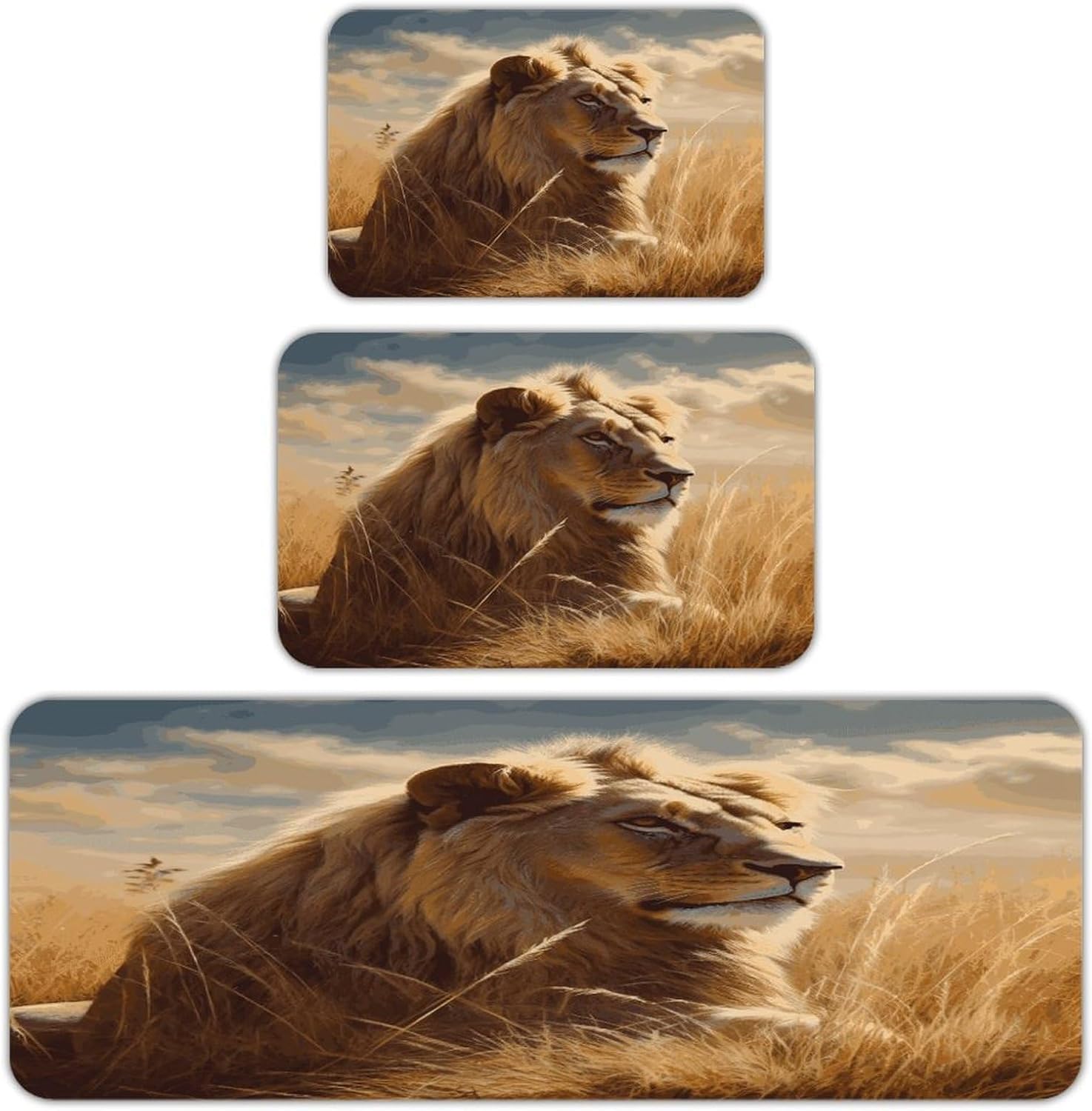 Prairie Lion Kitchen Mats Soft Absorbent Rugs for Floor Non Slip Washable Kitchen Mats Fashion Rectangular Rugs for Three-Piece Set for Laundry Office Home Sink
