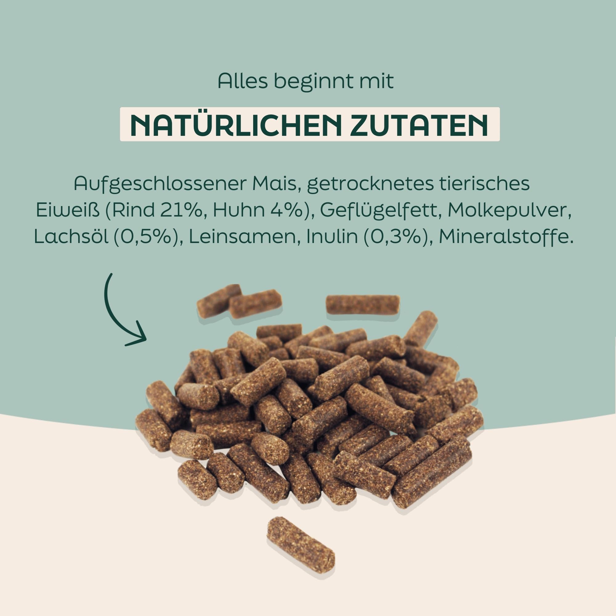 Regular 36kg kaltgepresstes Hundefutter mit Rindfleisch | Trockenfutter, natürliche Zutaten, leicht verdaulich, ohne Weizengluten