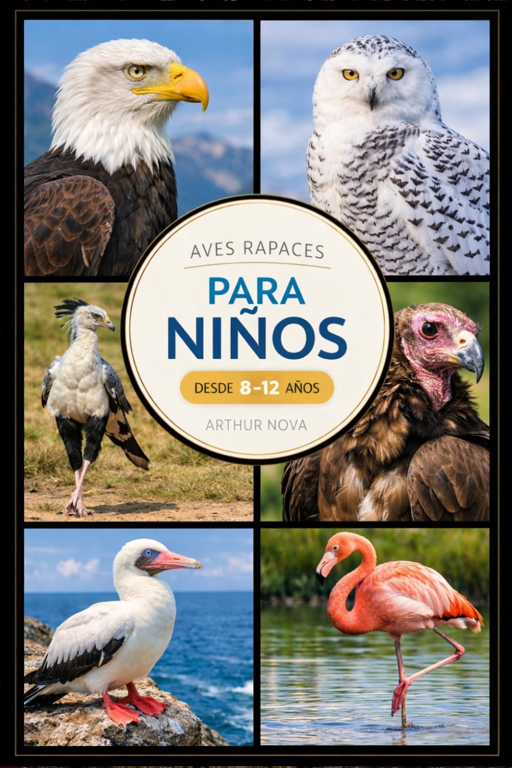 AVES RAPACES PARA NIÑOS: Descubre las aves rapaces más impresionantes de la naturaleza