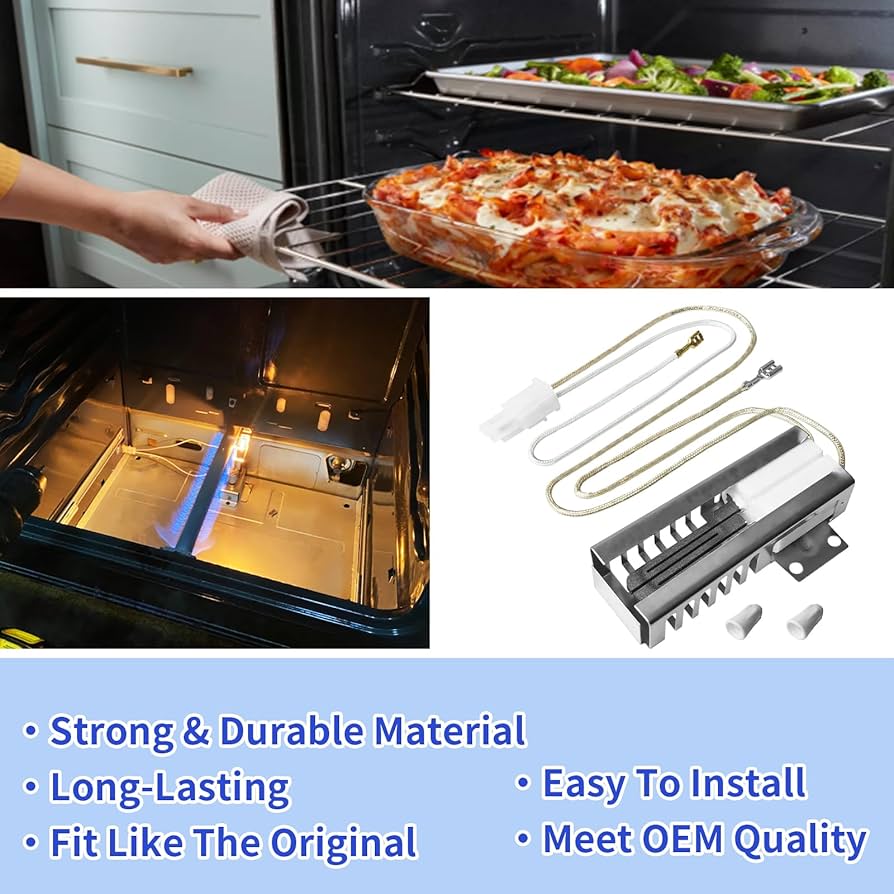 Amazon.com: 5304509706 316489402 Gas Range Oven Igniter