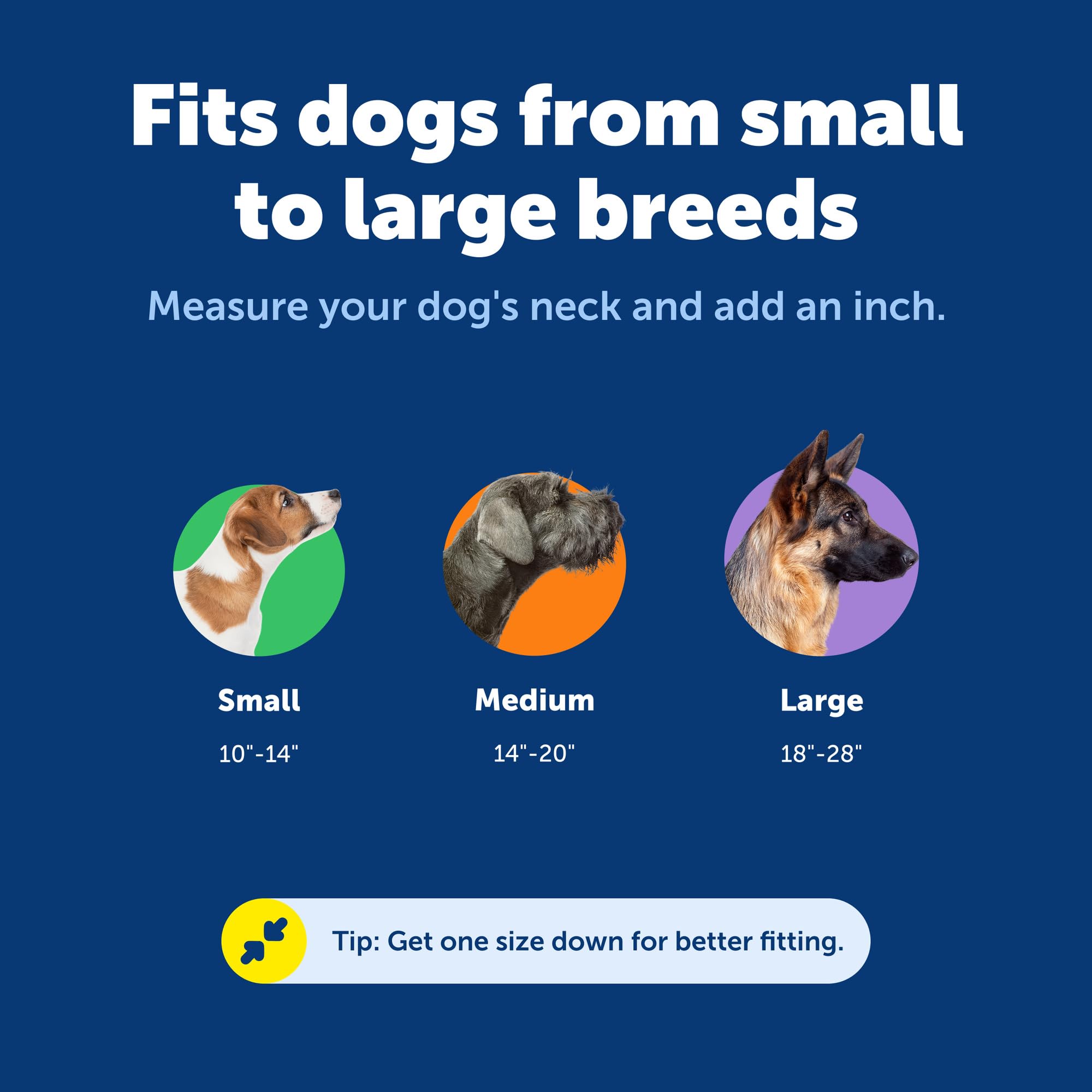 PetSafe KeepSafe Collier avec système Anti-étranglement pour Chien